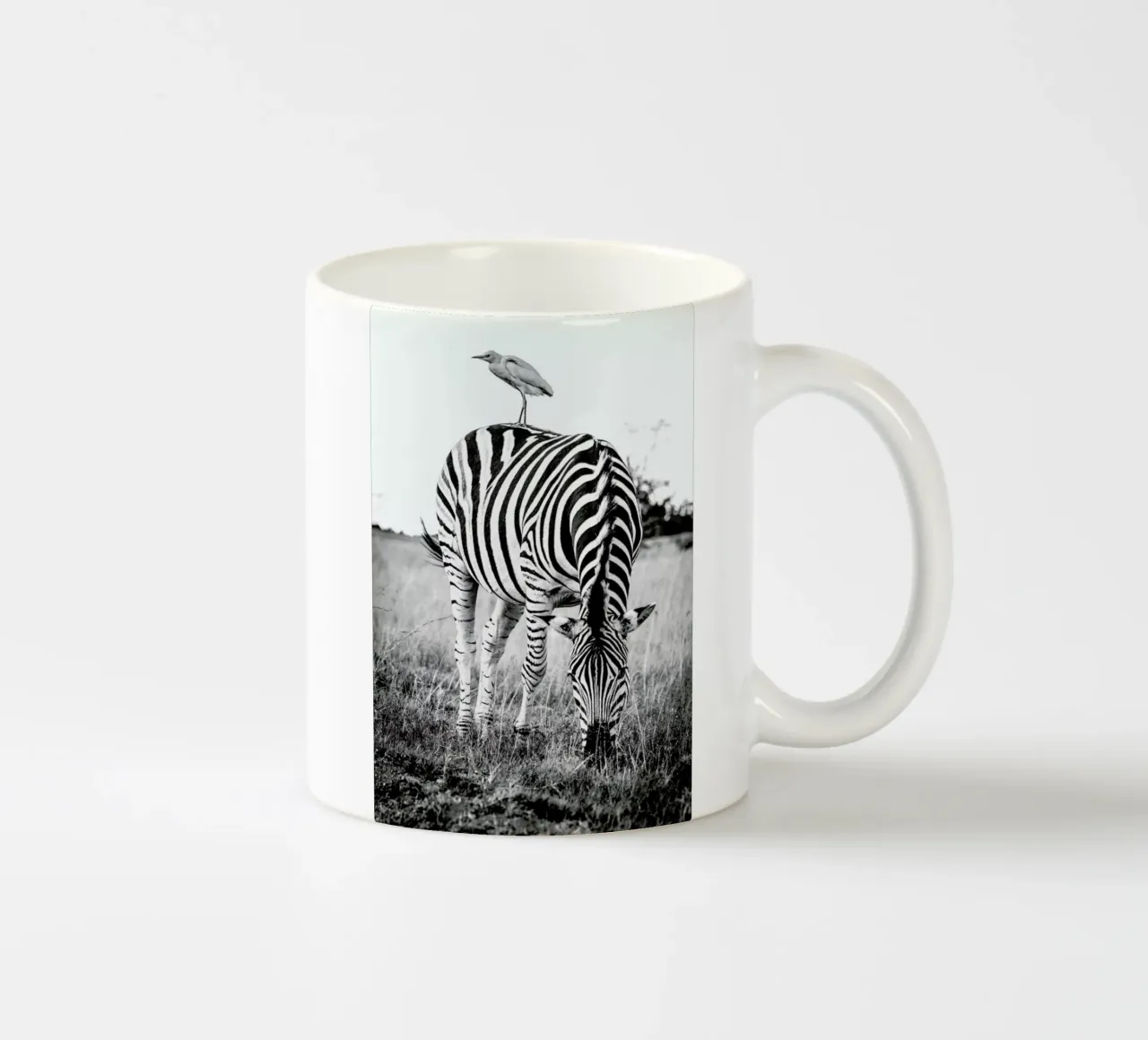 Zebra and Friend Keramik Tasse von Natural Kingdom
