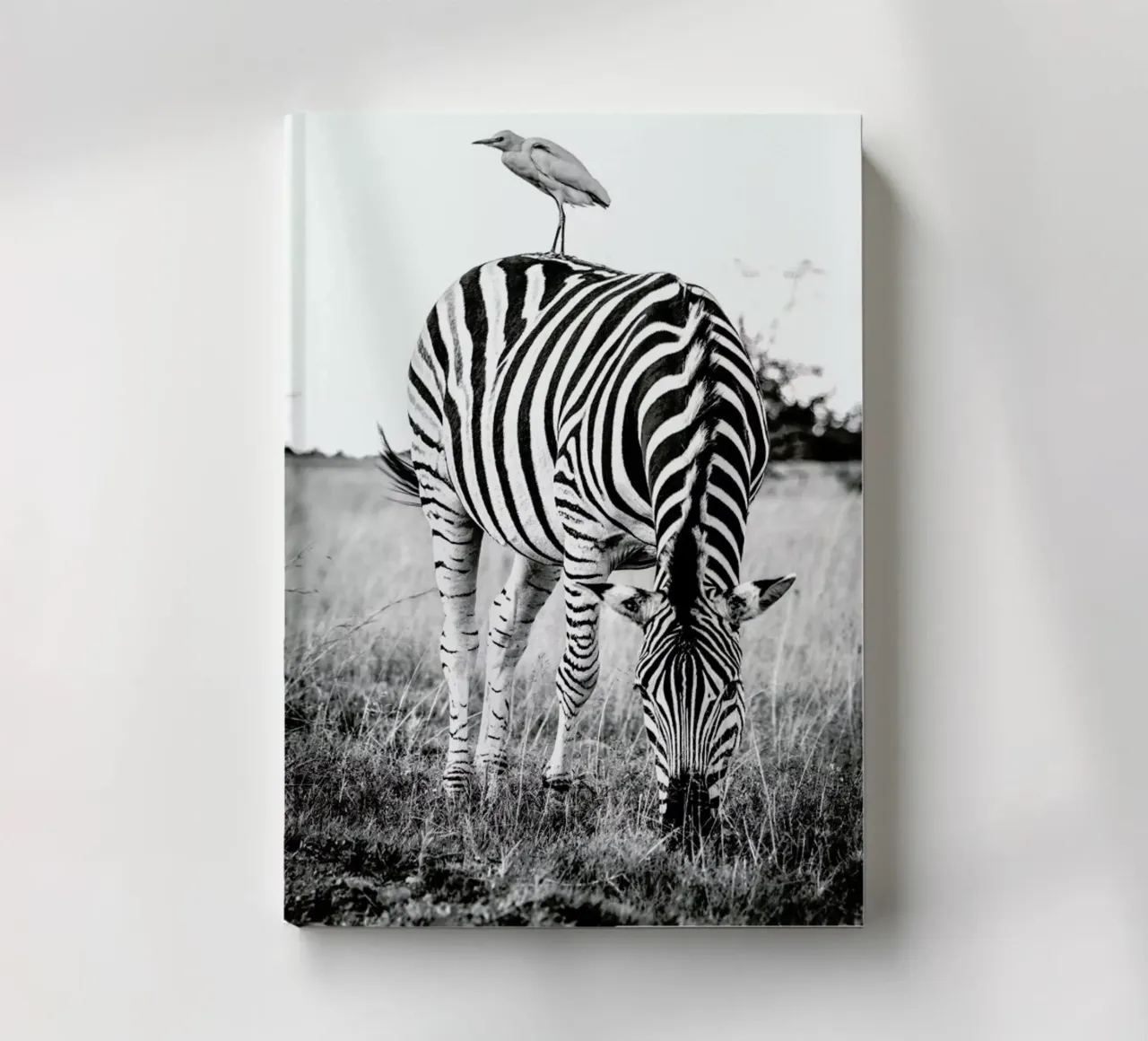 Zebra and Friend notebook by Natural Kingdom