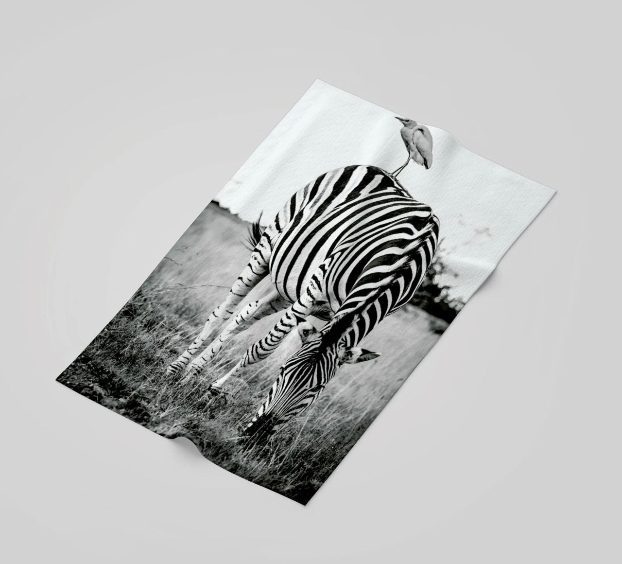 Zebra and Friend telo mare da Natural Kingdom