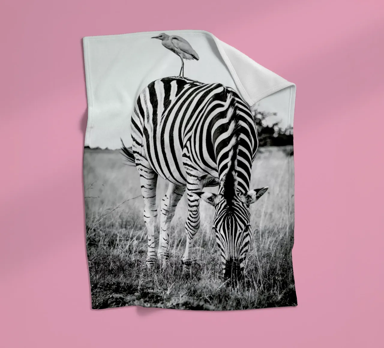Zebra and Friend coperta in pile da Natural Kingdom