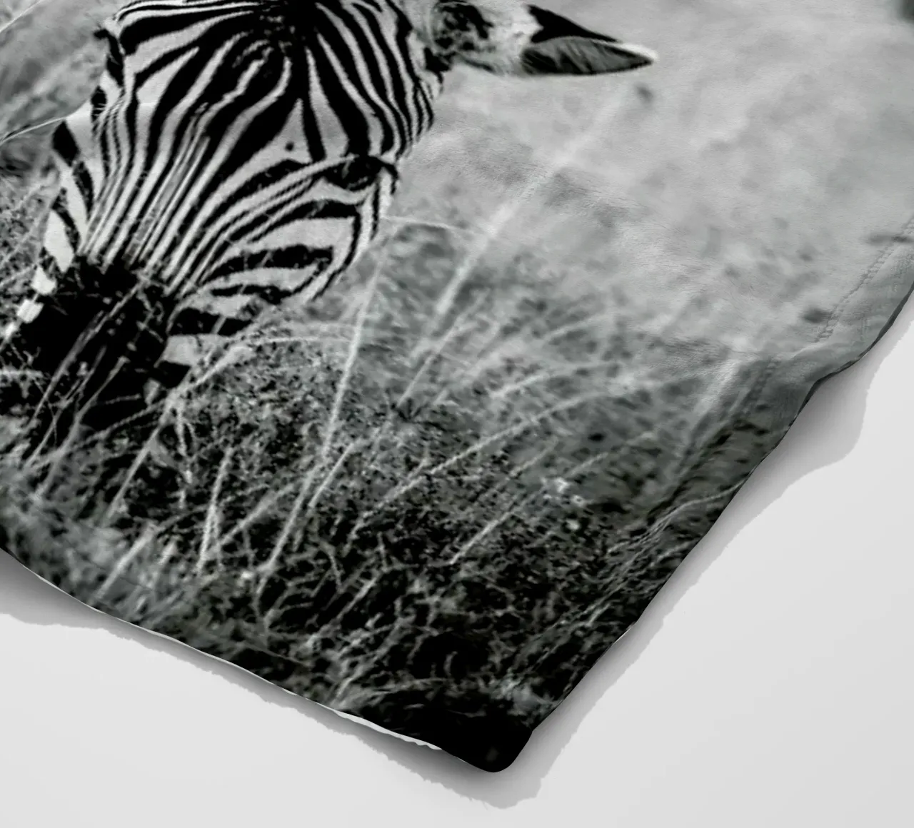 Zebra and Friend coperta in pile da Natural Kingdom