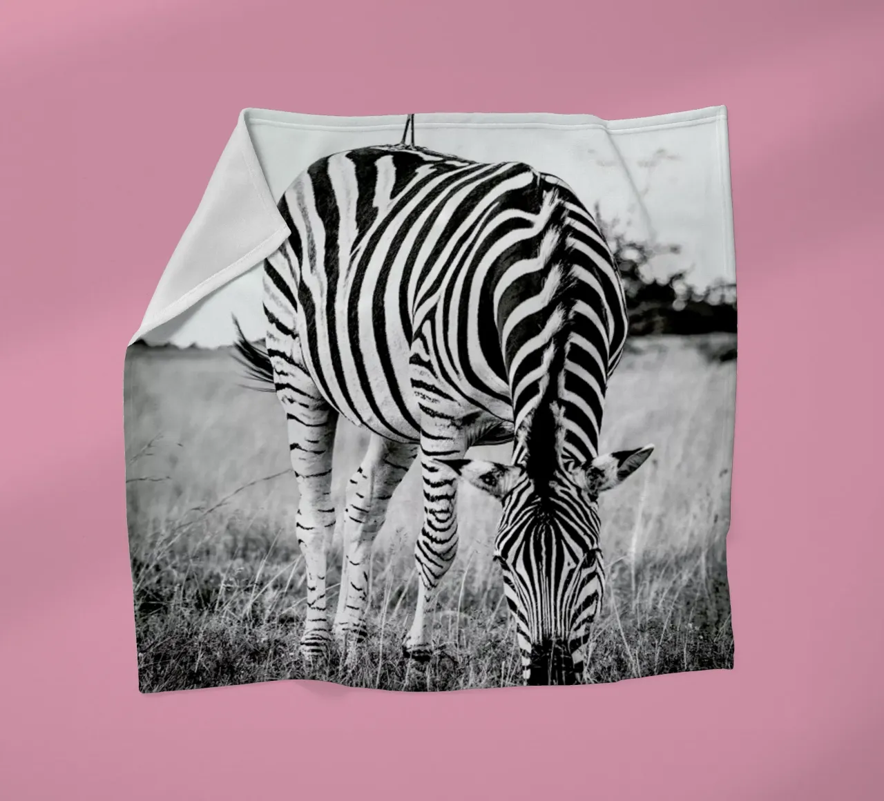 Zebra and Friend coperta in pile da Natural Kingdom