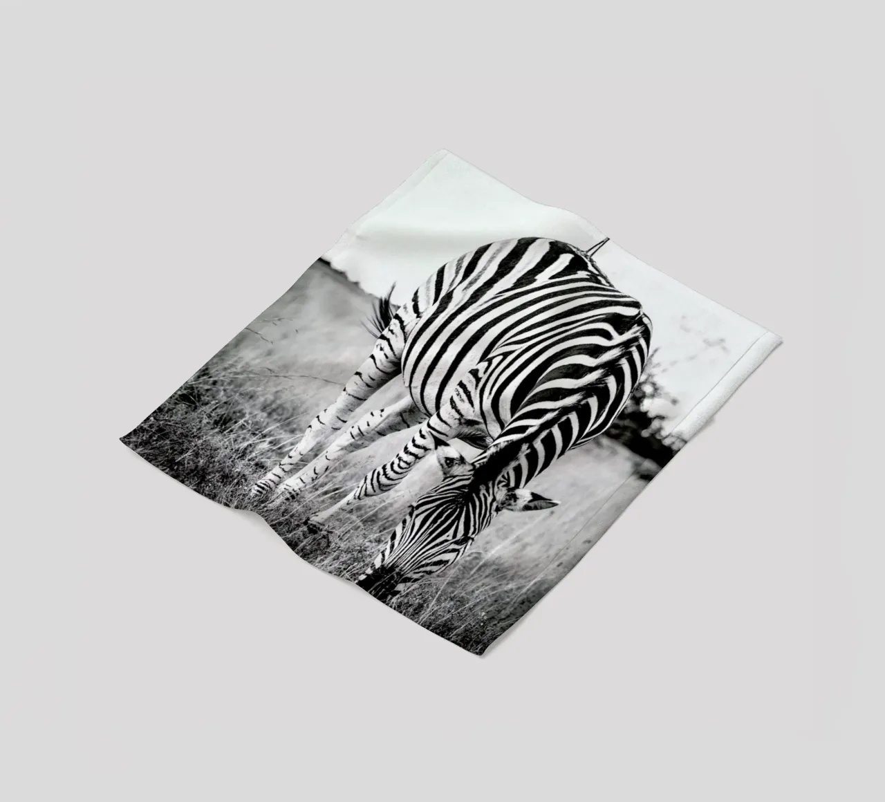 Zebra and Friend coperta in pile da Natural Kingdom