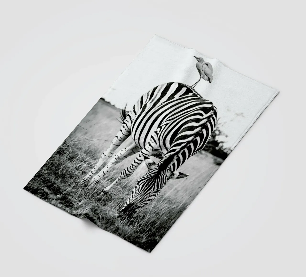 Zebra and Friend coperta in pile da Natural Kingdom