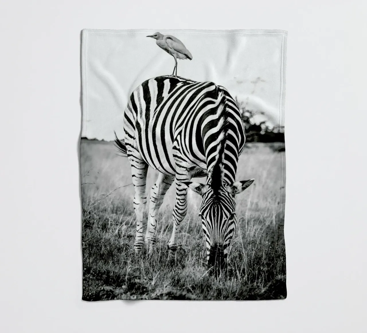Zebra and Friend coperta in pile da Natural Kingdom