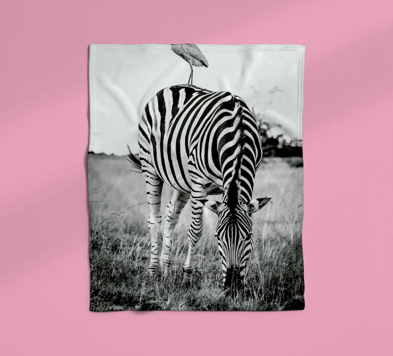 Zebra and Friend coperta in pile da Natural Kingdom