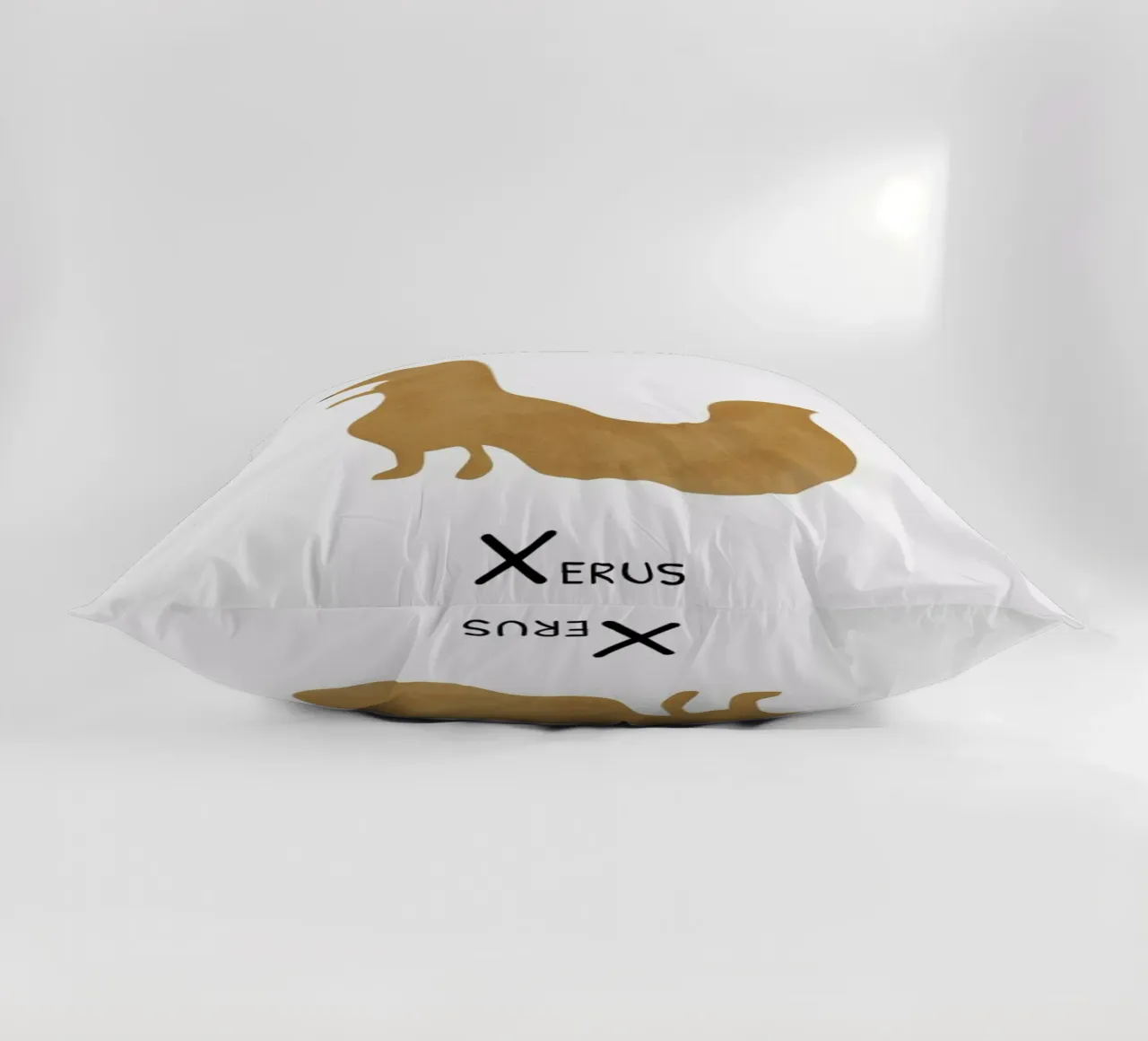 Xerus decorative cushion by Little Flourishes