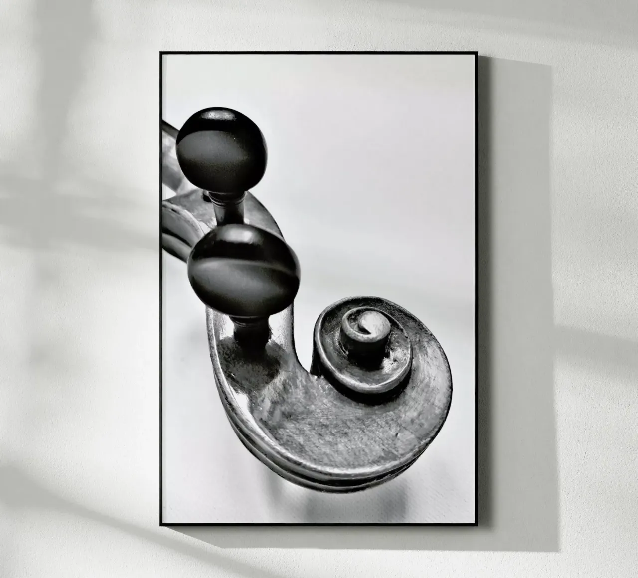 Violine plexiglass da FRITSCH&FRITSCH