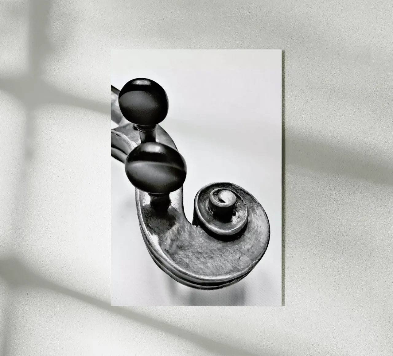 Violine plexiglass da FRITSCH&FRITSCH