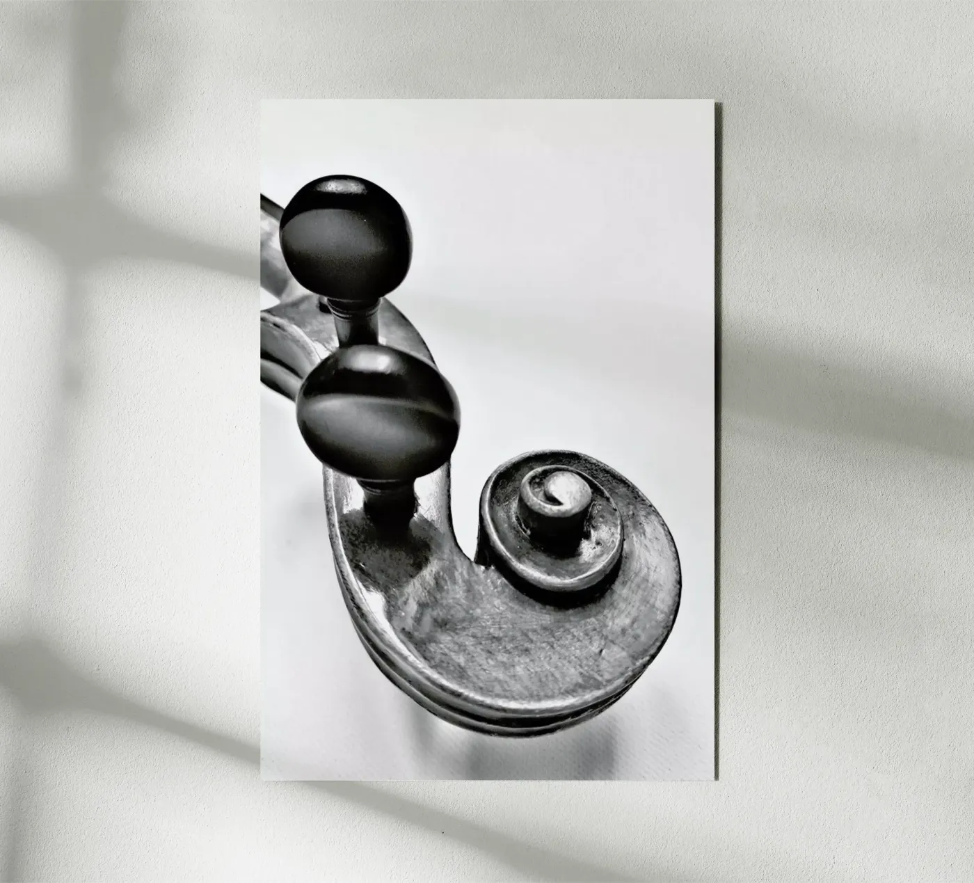 Violine pannello forex da FRITSCH&FRITSCH