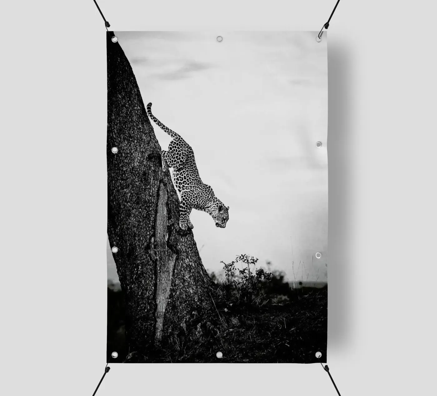Pouncing Leopard telo in pvc da Natural Kingdom