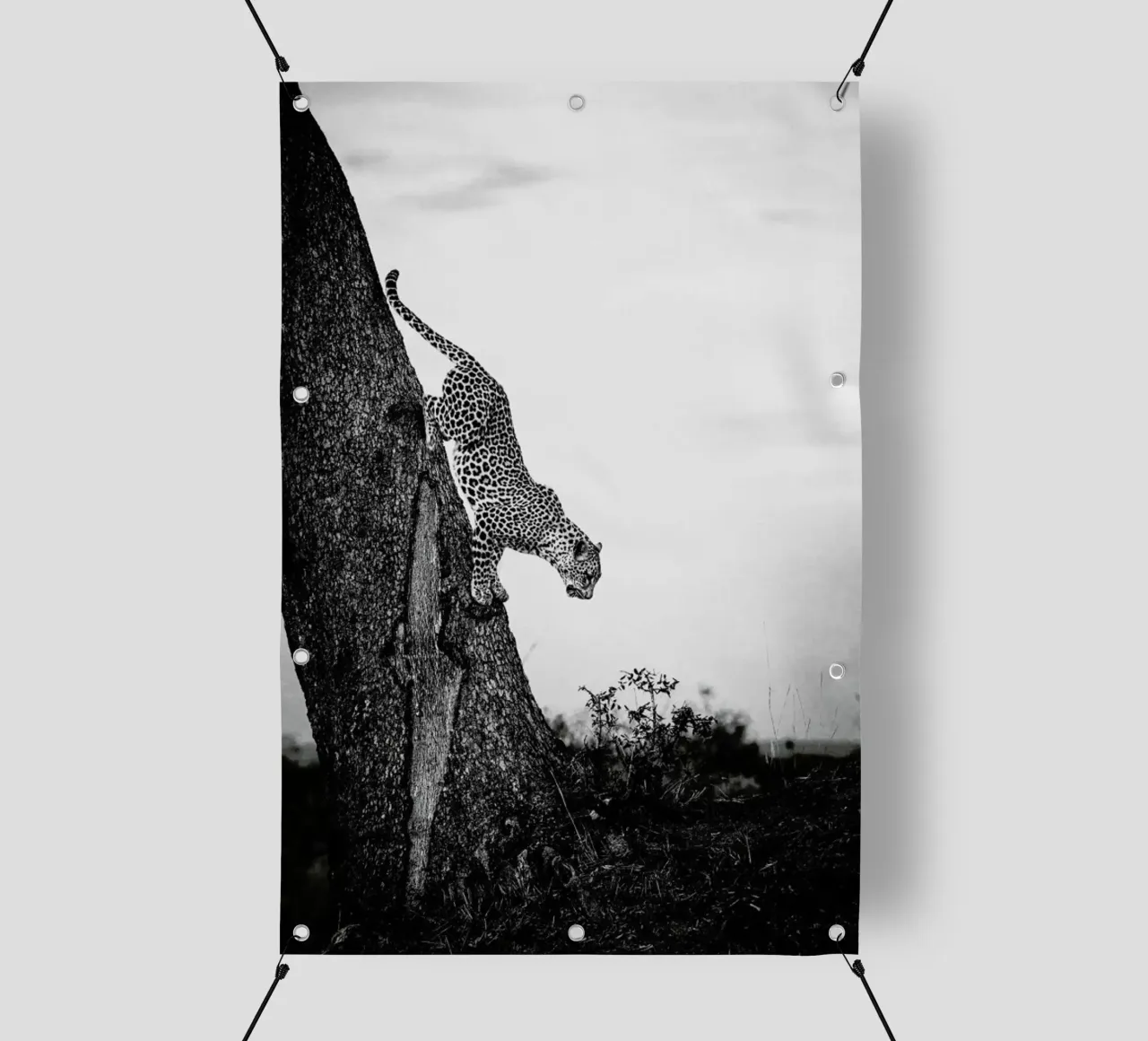 Pouncing Leopard telo in pvc da Natural Kingdom