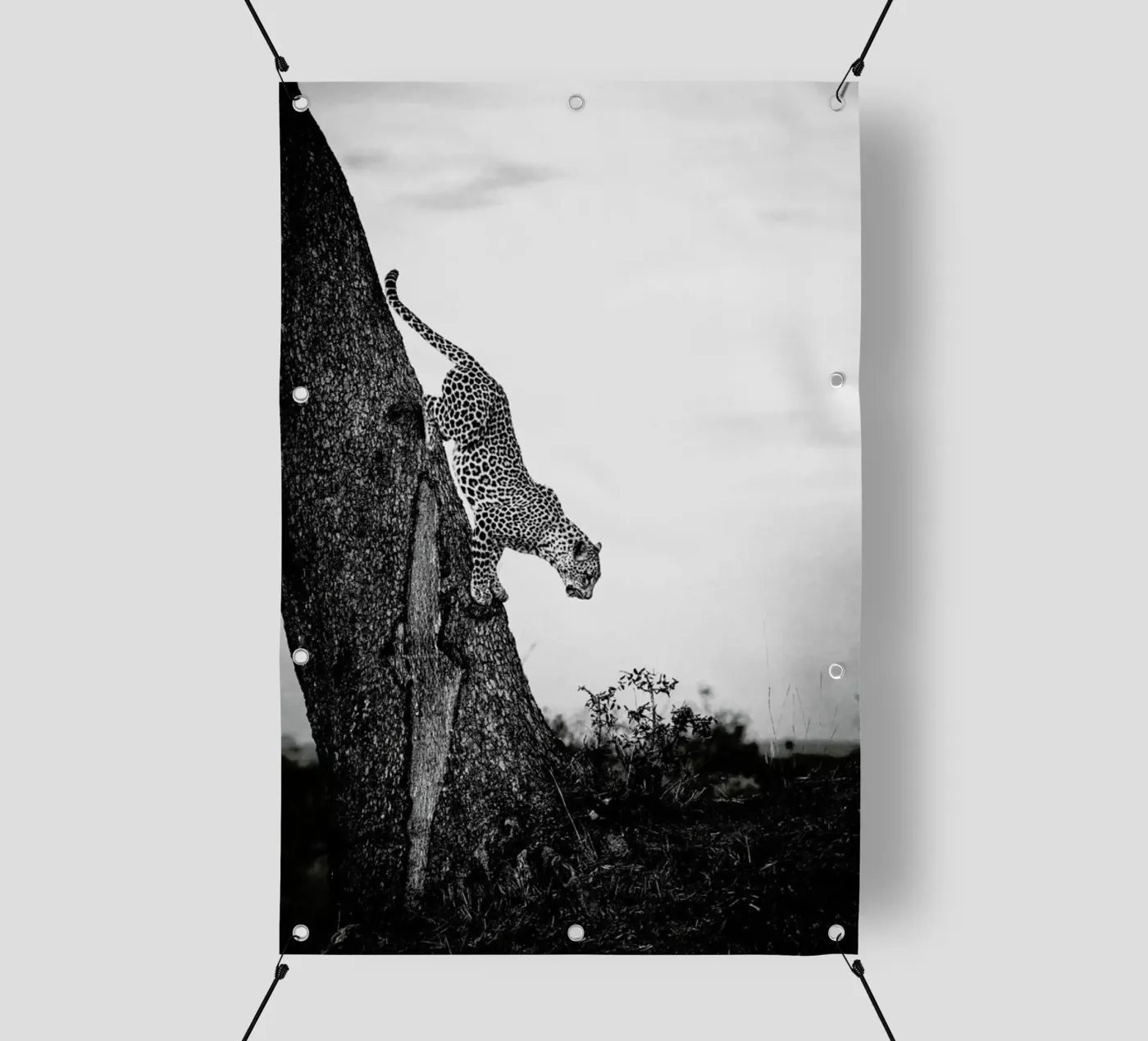 Pouncing Leopard PVC Plane von Natural Kingdom