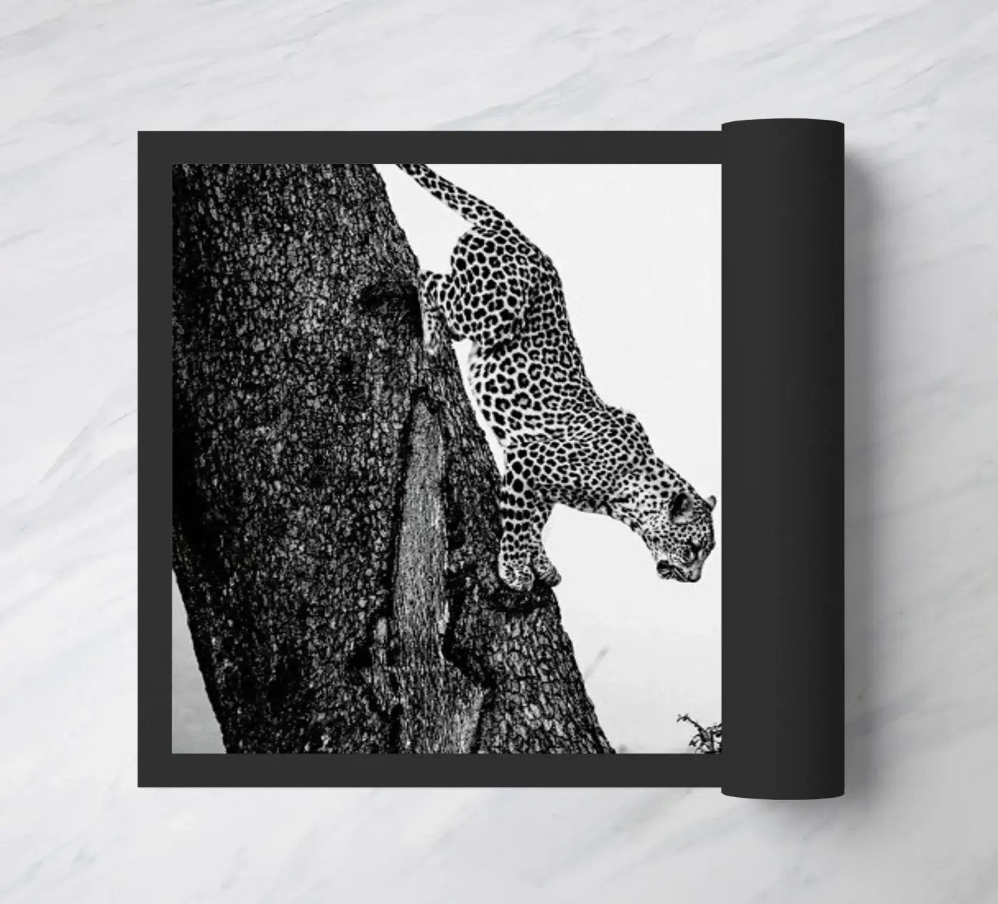 Pouncing Leopard zerbino da Natural Kingdom