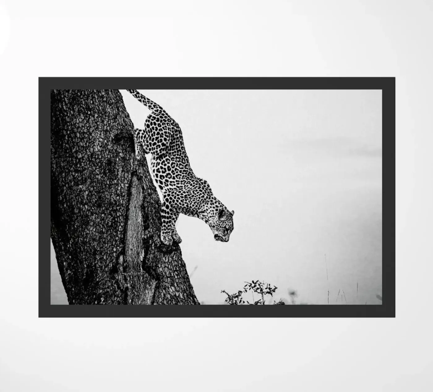 Pouncing Leopard Fußmatte von Natural Kingdom