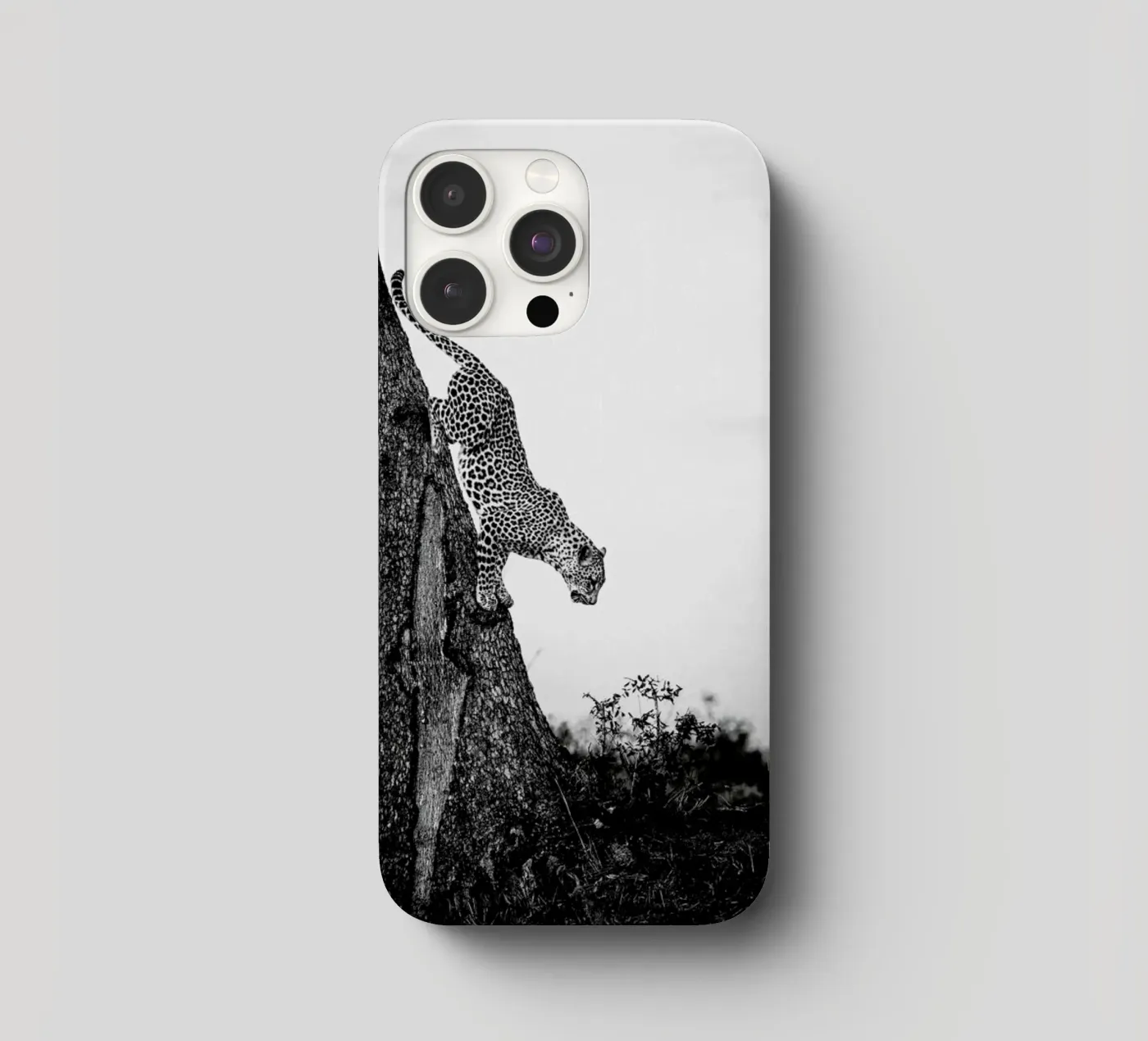 Pouncing Leopard iphone case by Natural Kingdom