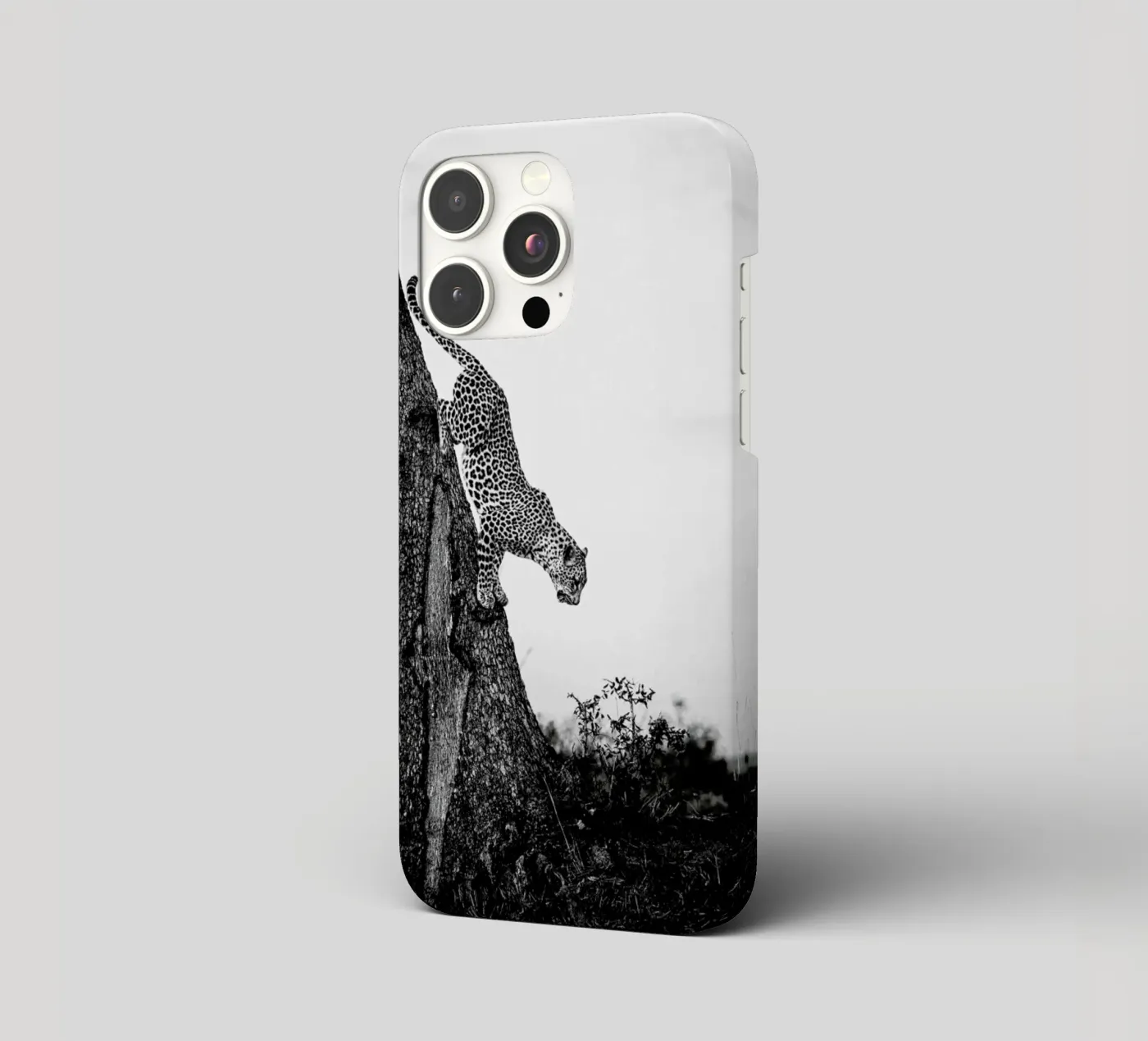 Pouncing Leopard iphone case by Natural Kingdom