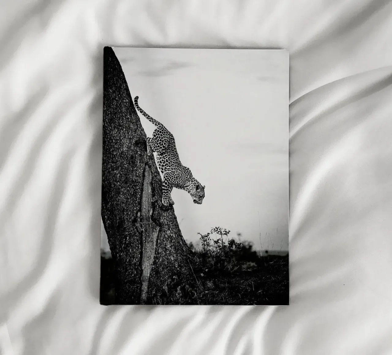 Pouncing Leopard notebook by Natural Kingdom