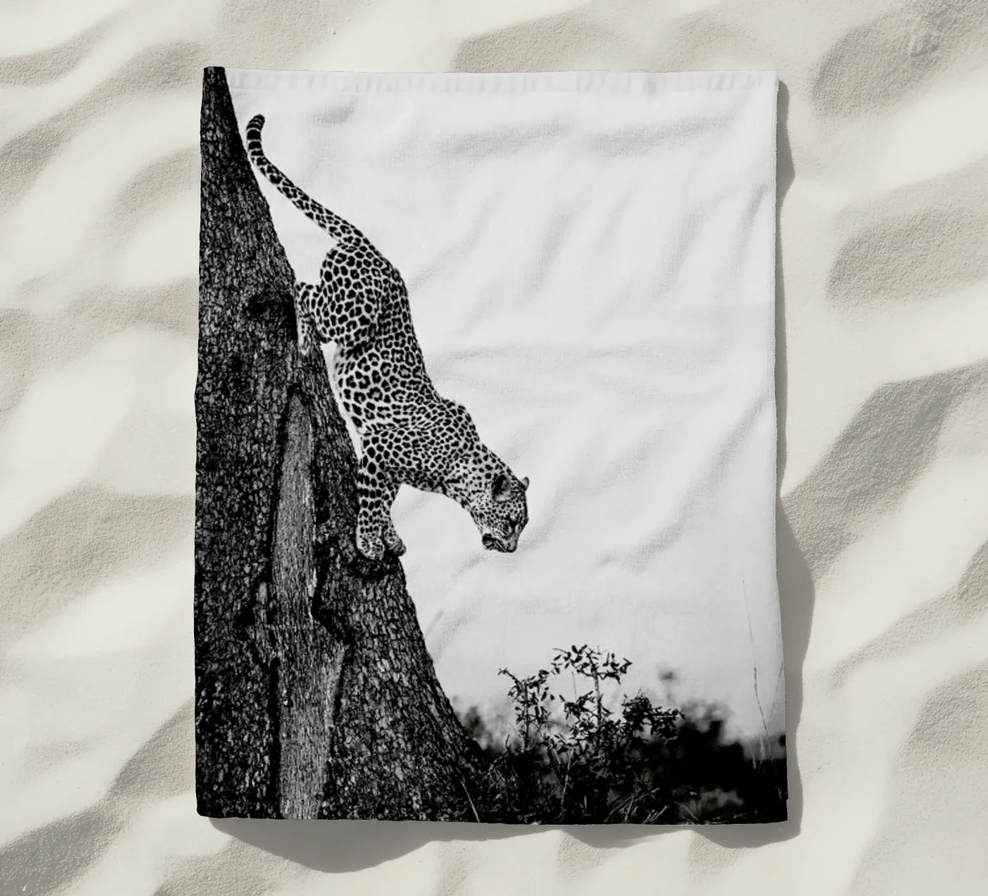 Pouncing Leopard beach towel by Natural Kingdom