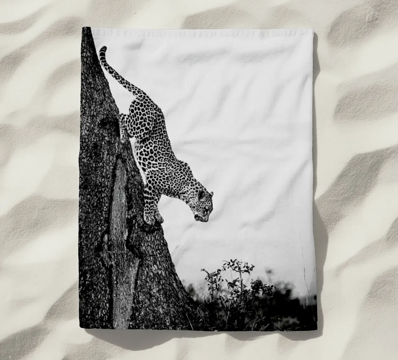 Pouncing Leopard beach towel by Natural Kingdom