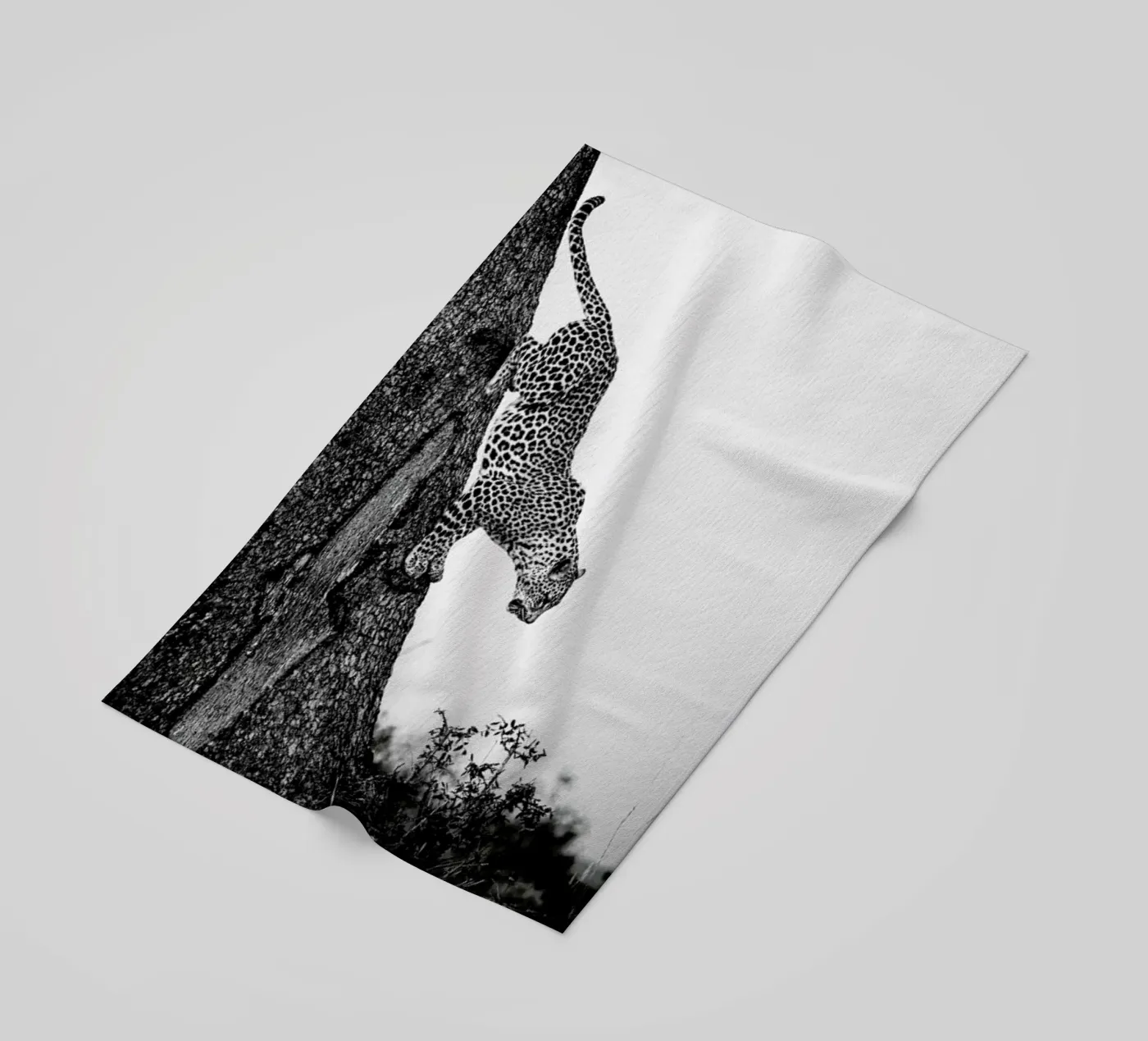 Pouncing Leopard beach towel by Natural Kingdom
