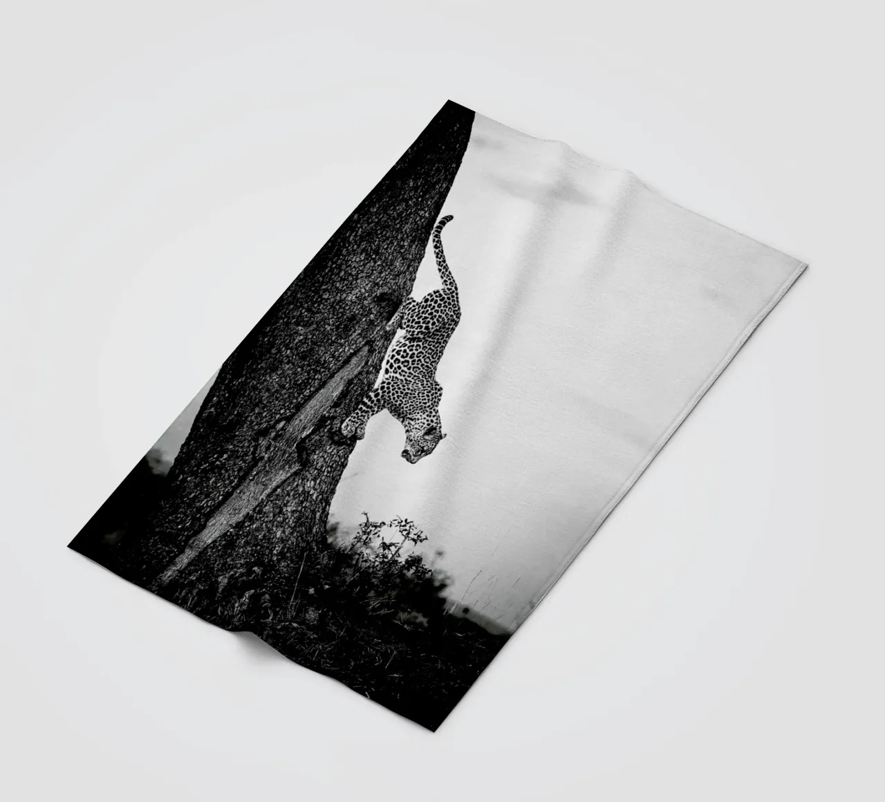 Pouncing Leopard Fleecedecke von Natural Kingdom