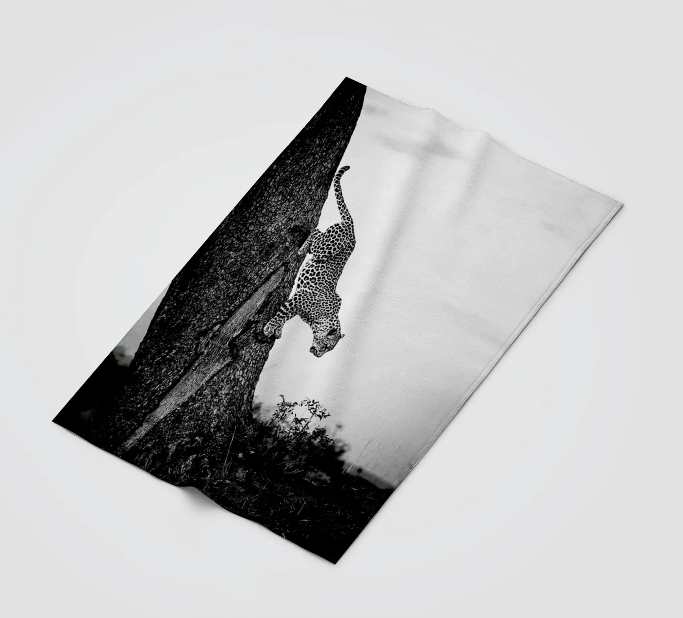 Pouncing Leopard fleece blanket by Natural Kingdom