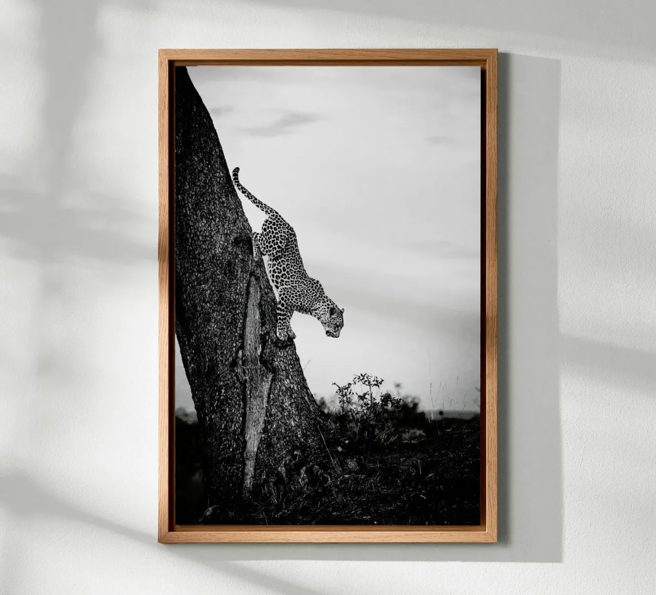 Pouncing Leopard canvas by Natural Kingdom