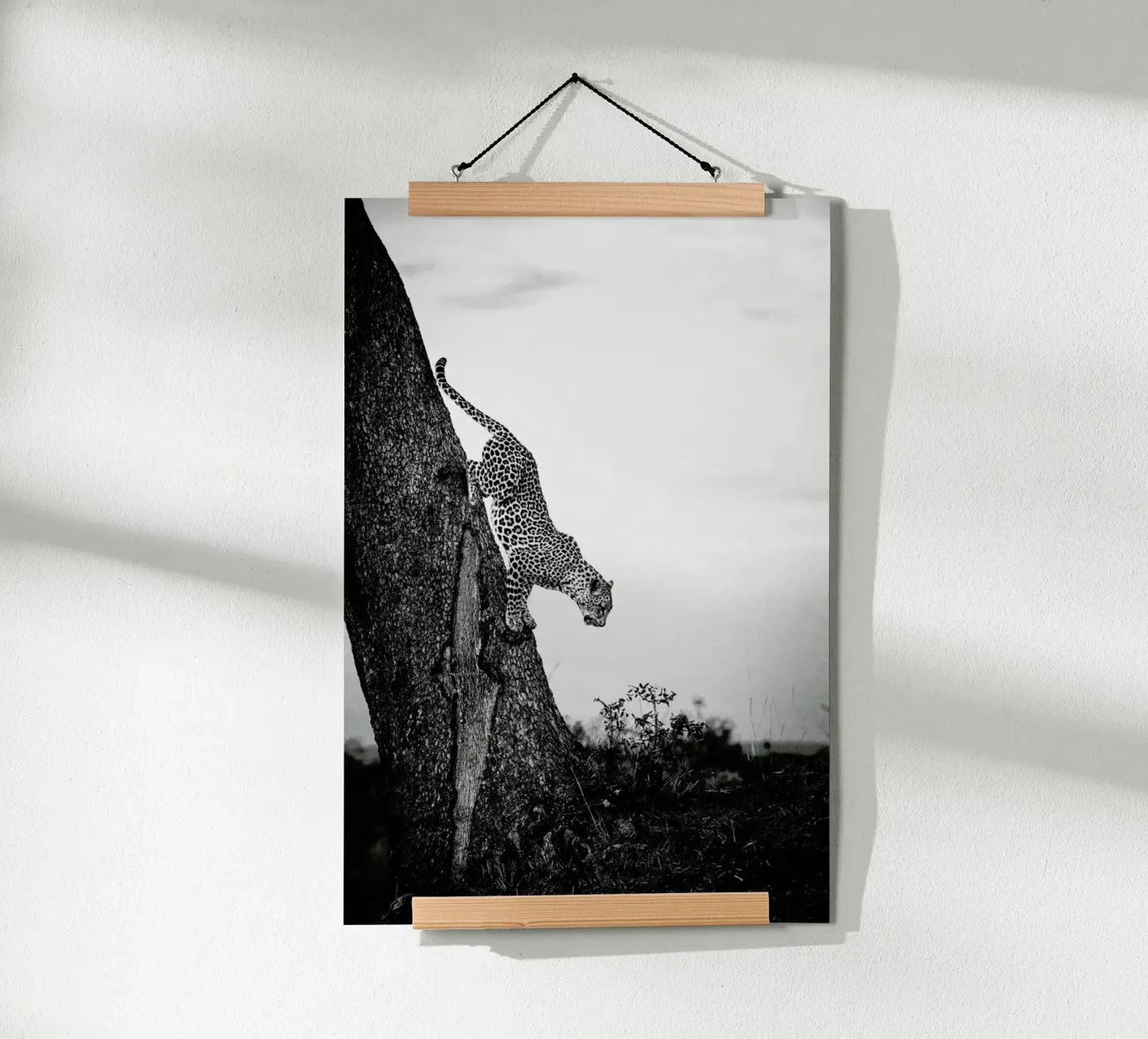 Pouncing Leopard poster van Natural Kingdom
