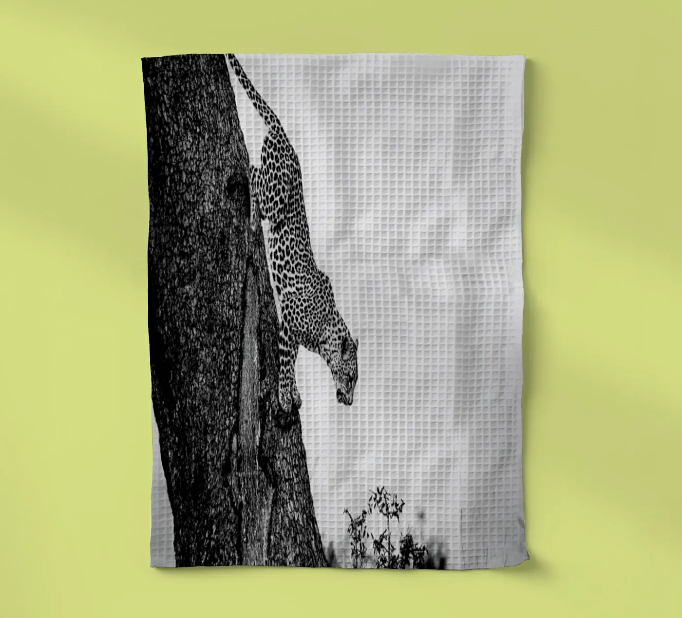 Pouncing Leopard tea towel by Natural Kingdom