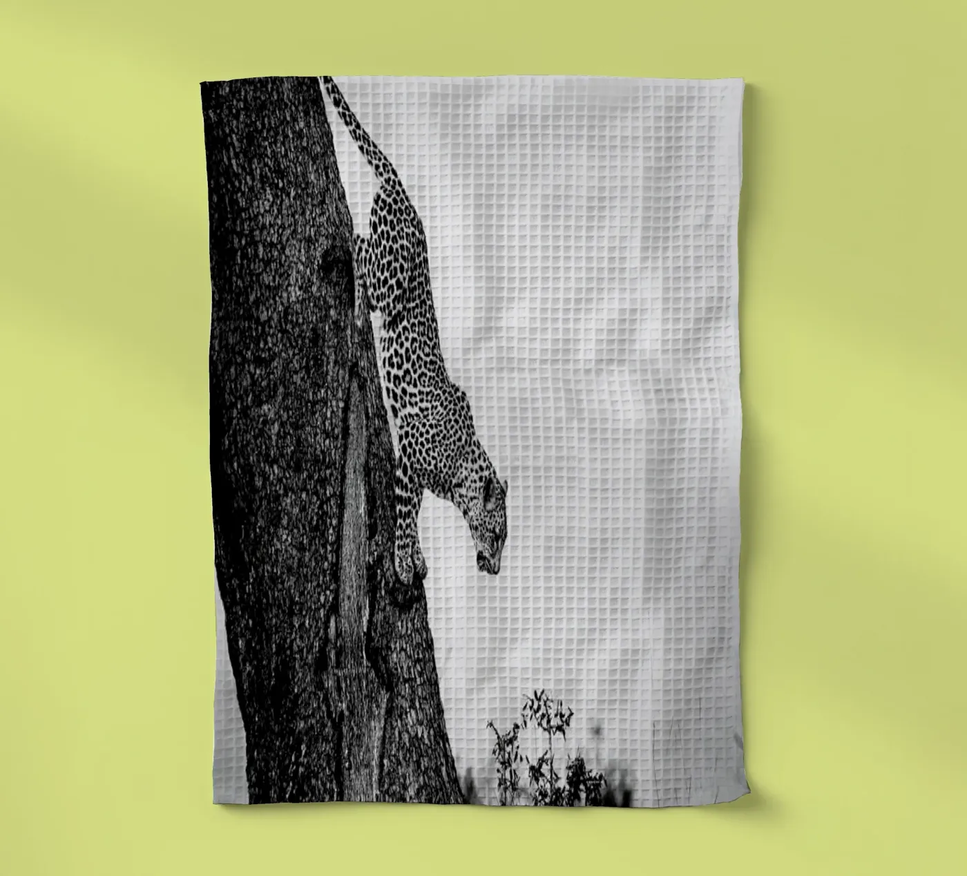 Pouncing Leopard canovaccio da cucina da Natural Kingdom