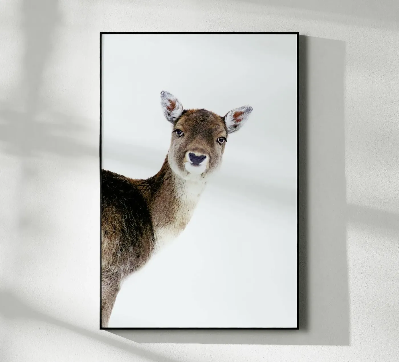 Deer Peekaboo plexiglass da Monika Strigel