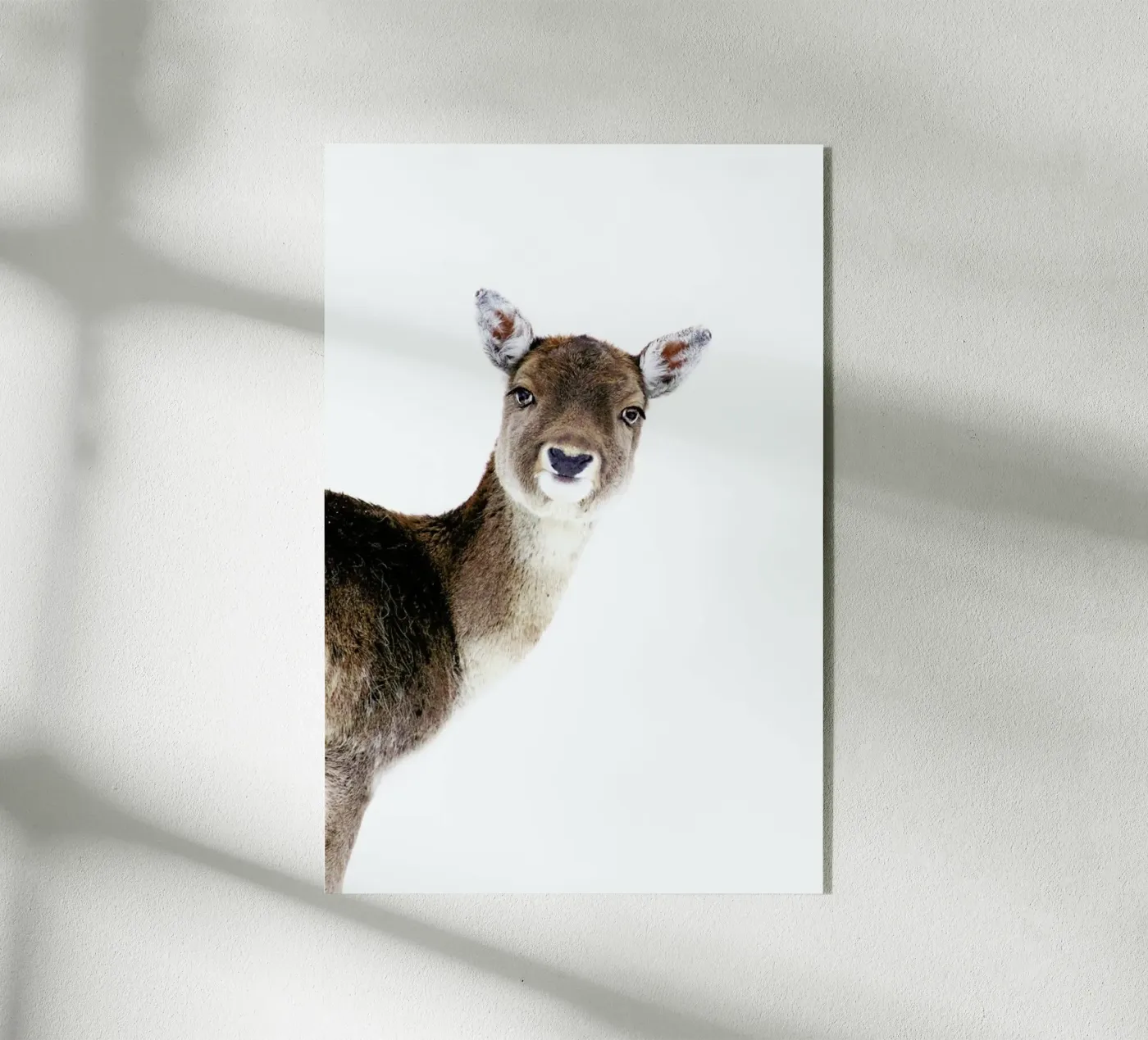 Deer Peekaboo plexiglass da Monika Strigel