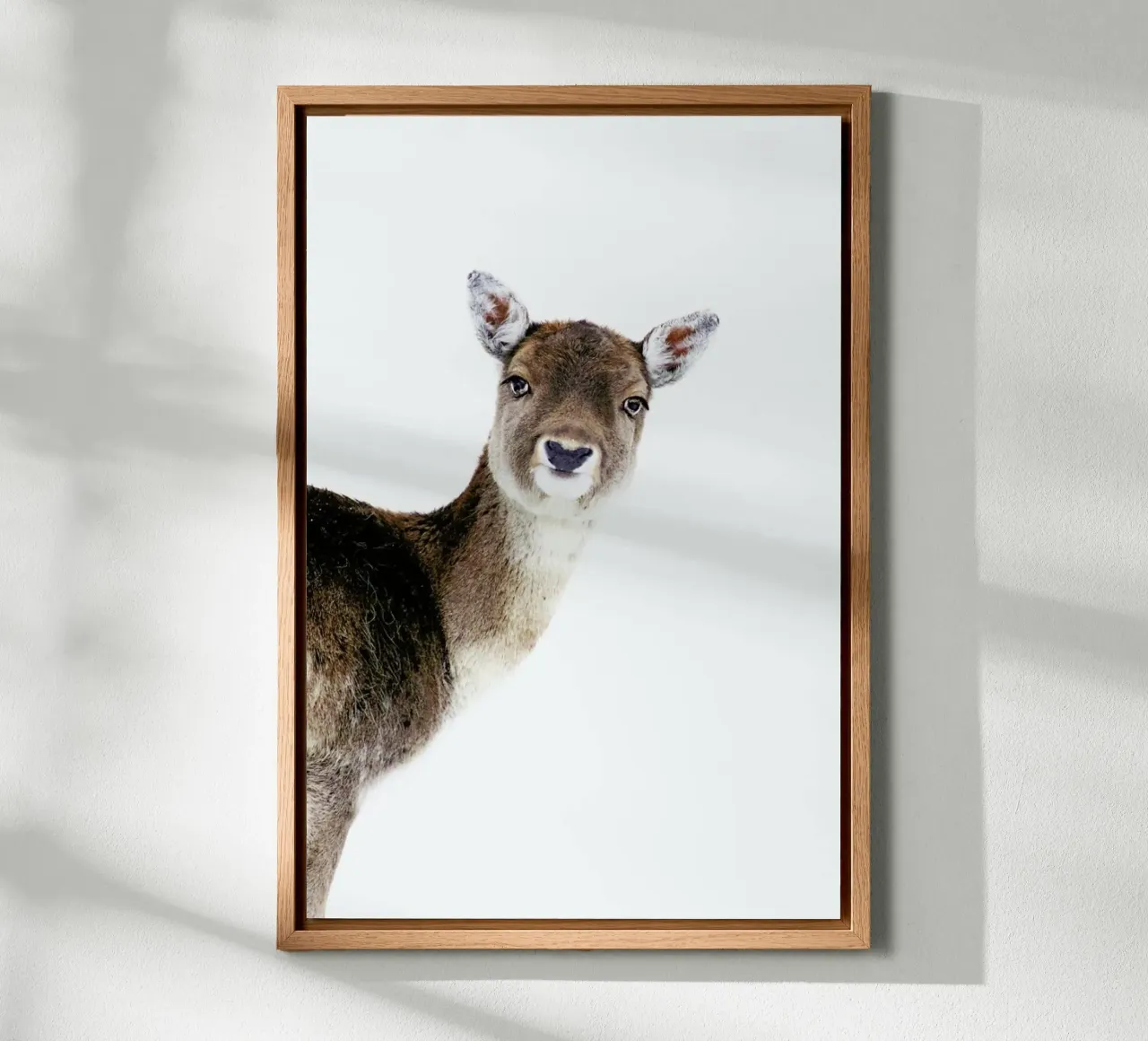 Deer Peekaboo alluminio dibond da Monika Strigel