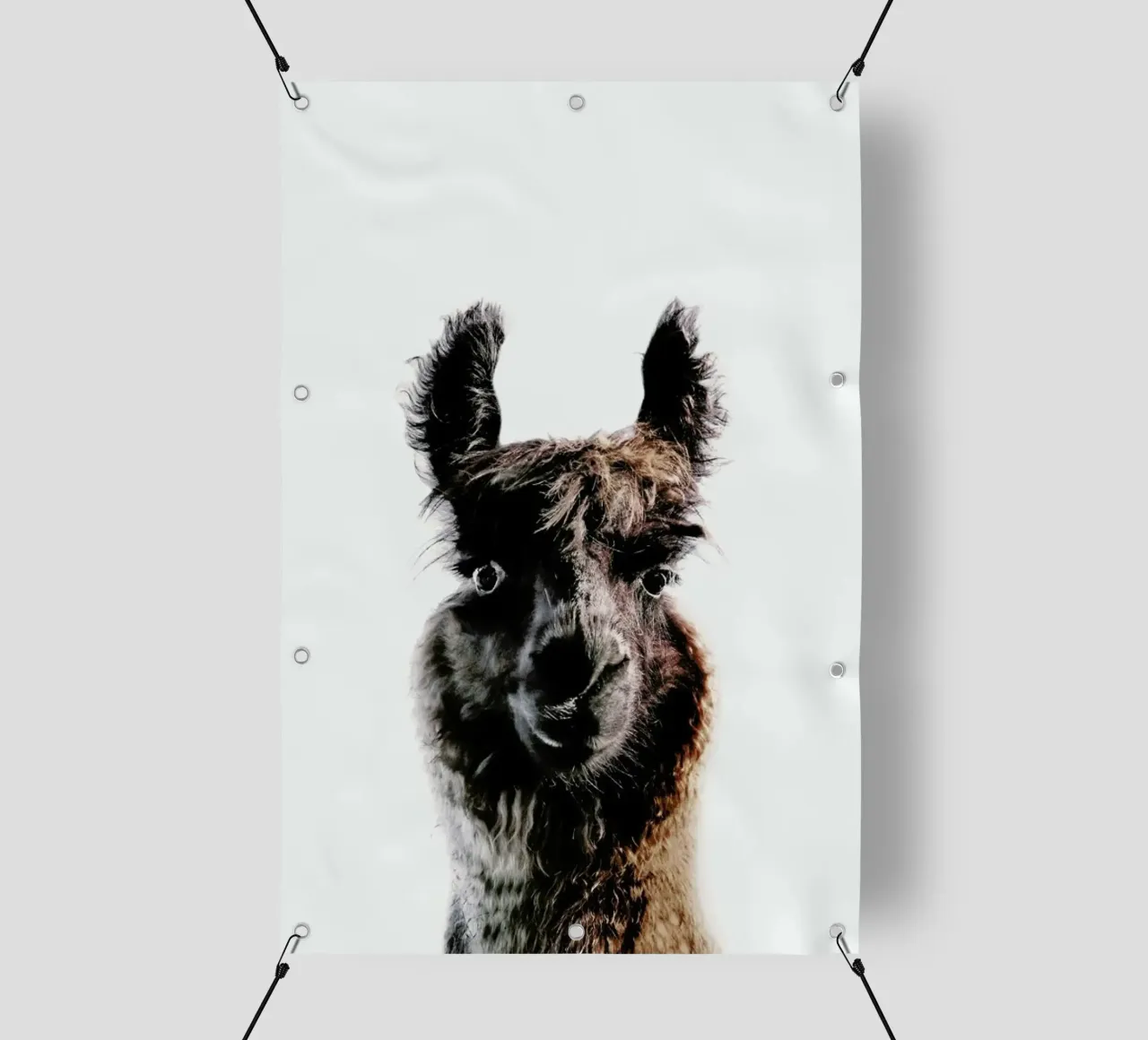 Llama George telo in pvc da Monika Strigel