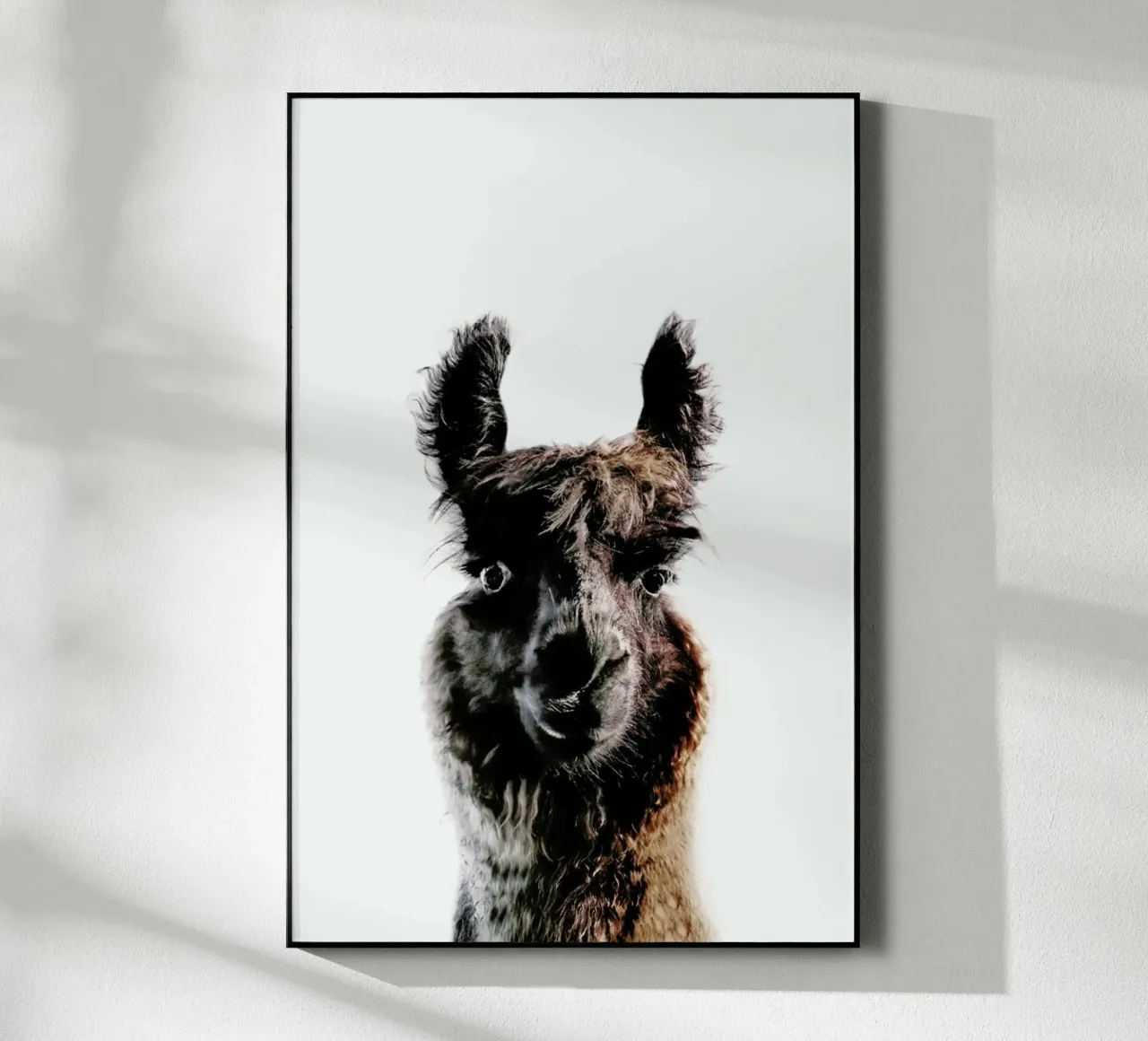 Llama George plexiglass da Monika Strigel