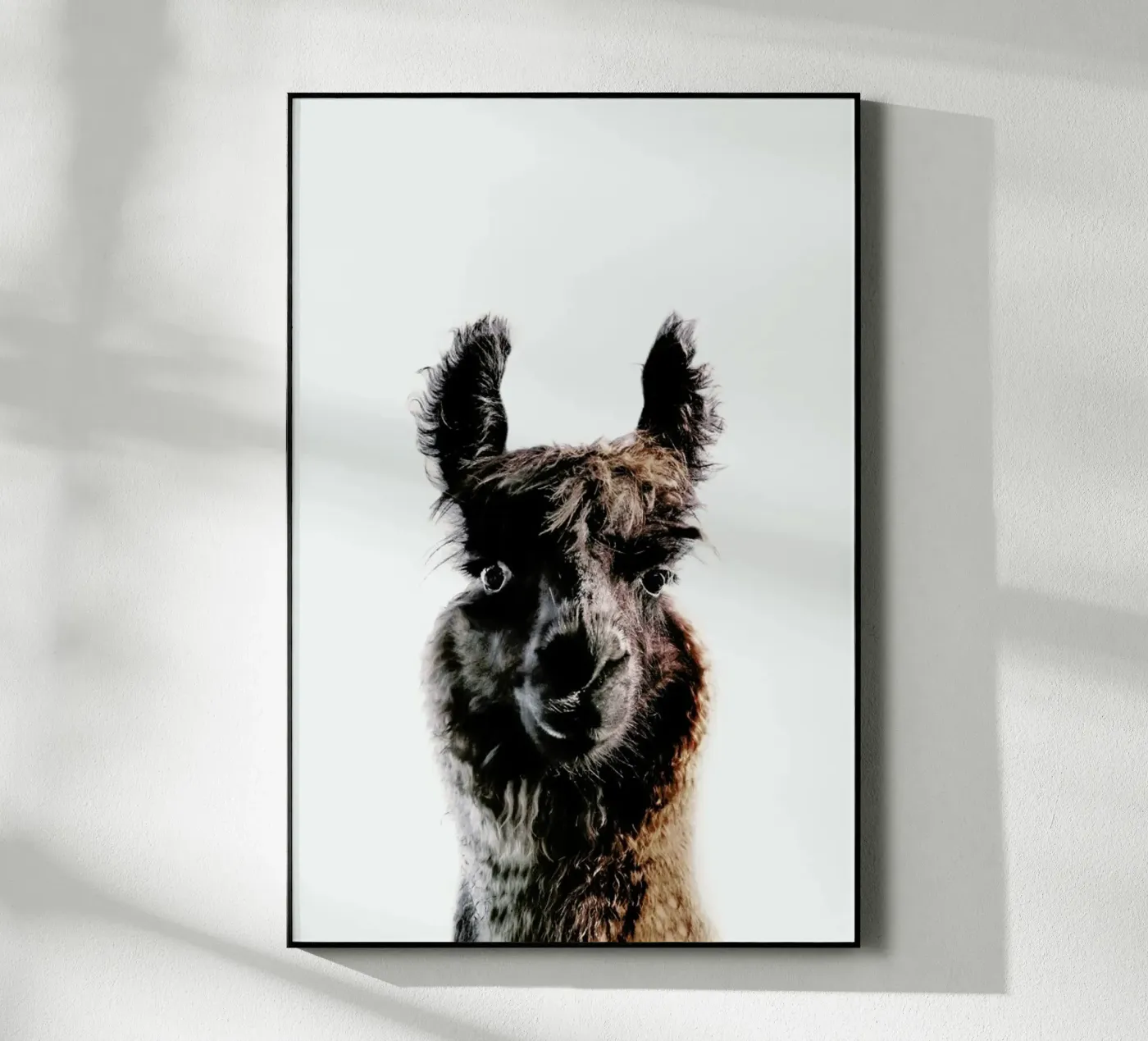 Llama George acryl van Monika Strigel