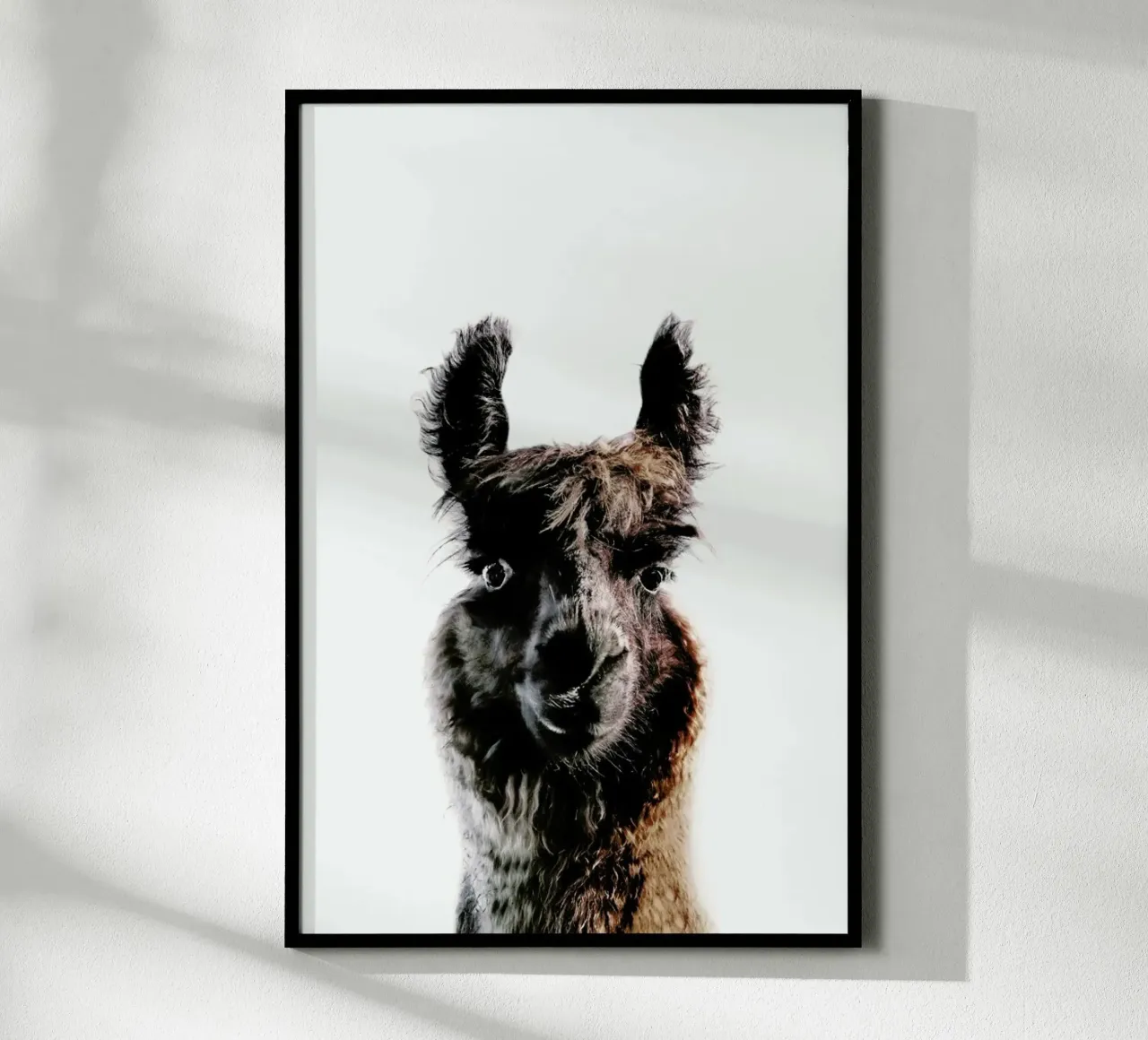 Llama George carta hahnemühle da Monika Strigel