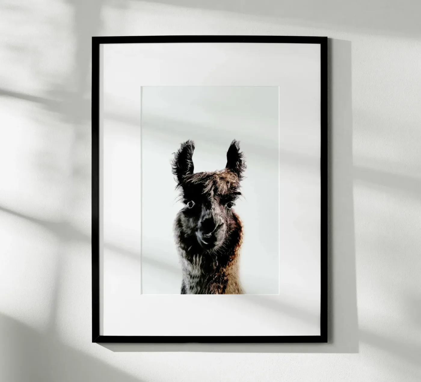 Llama George poster da Monika Strigel