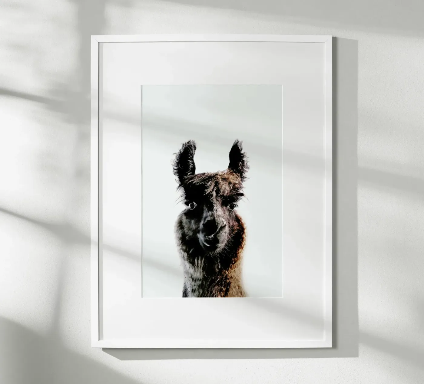 Llama George poster da Monika Strigel