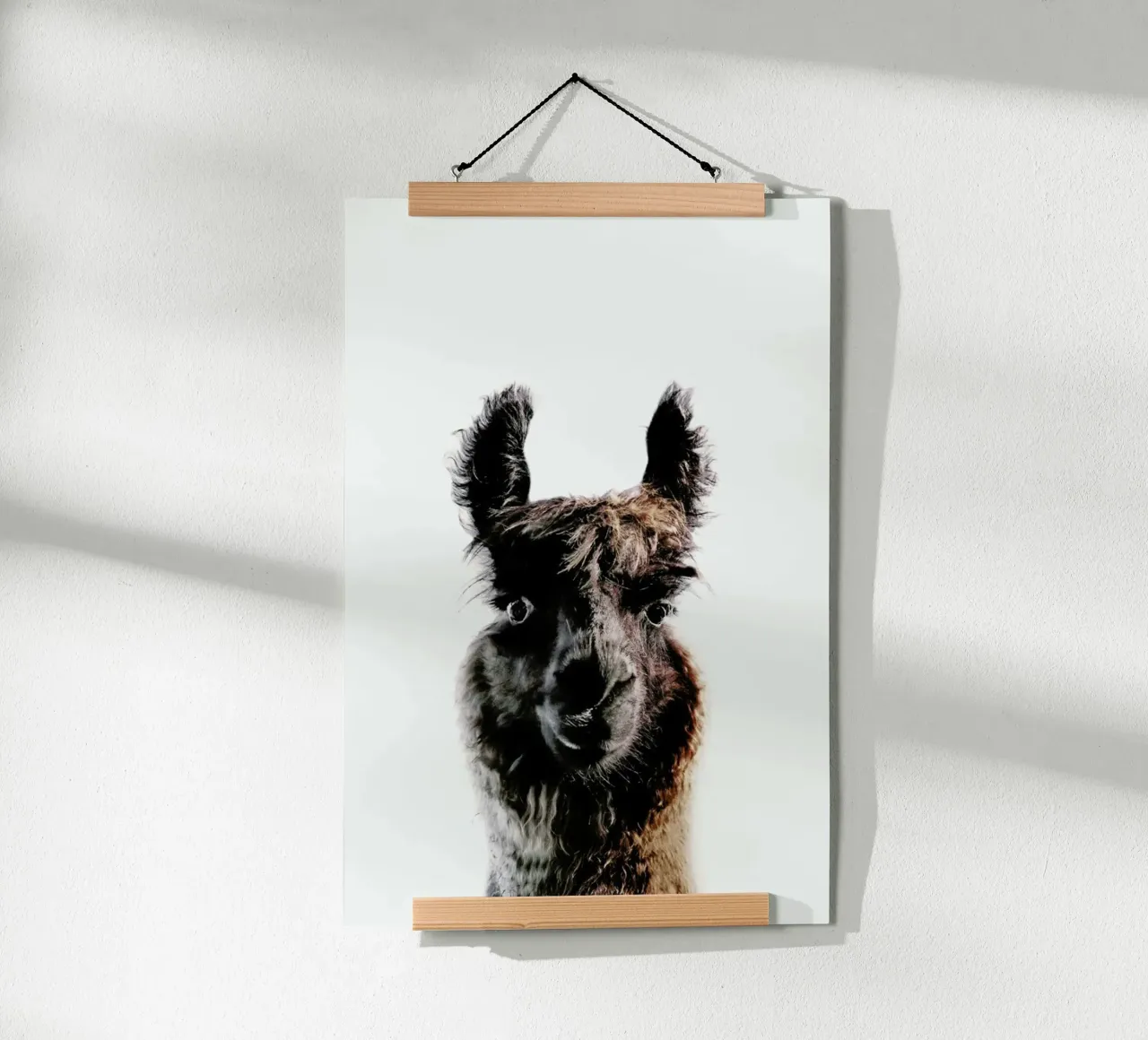 Llama George carta hahnemühle da Monika Strigel