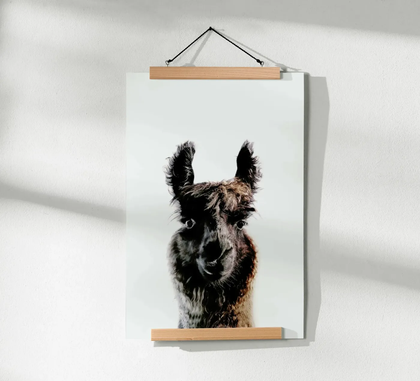 Llama George poster da Monika Strigel
