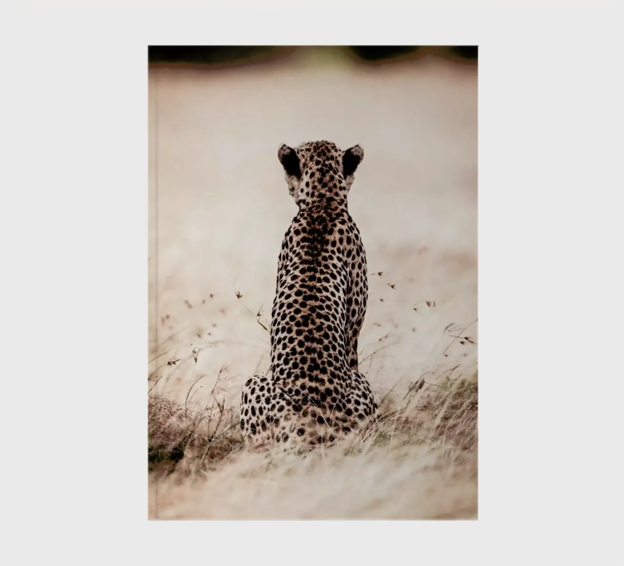 Still Leopard notebook by Natural Kingdom