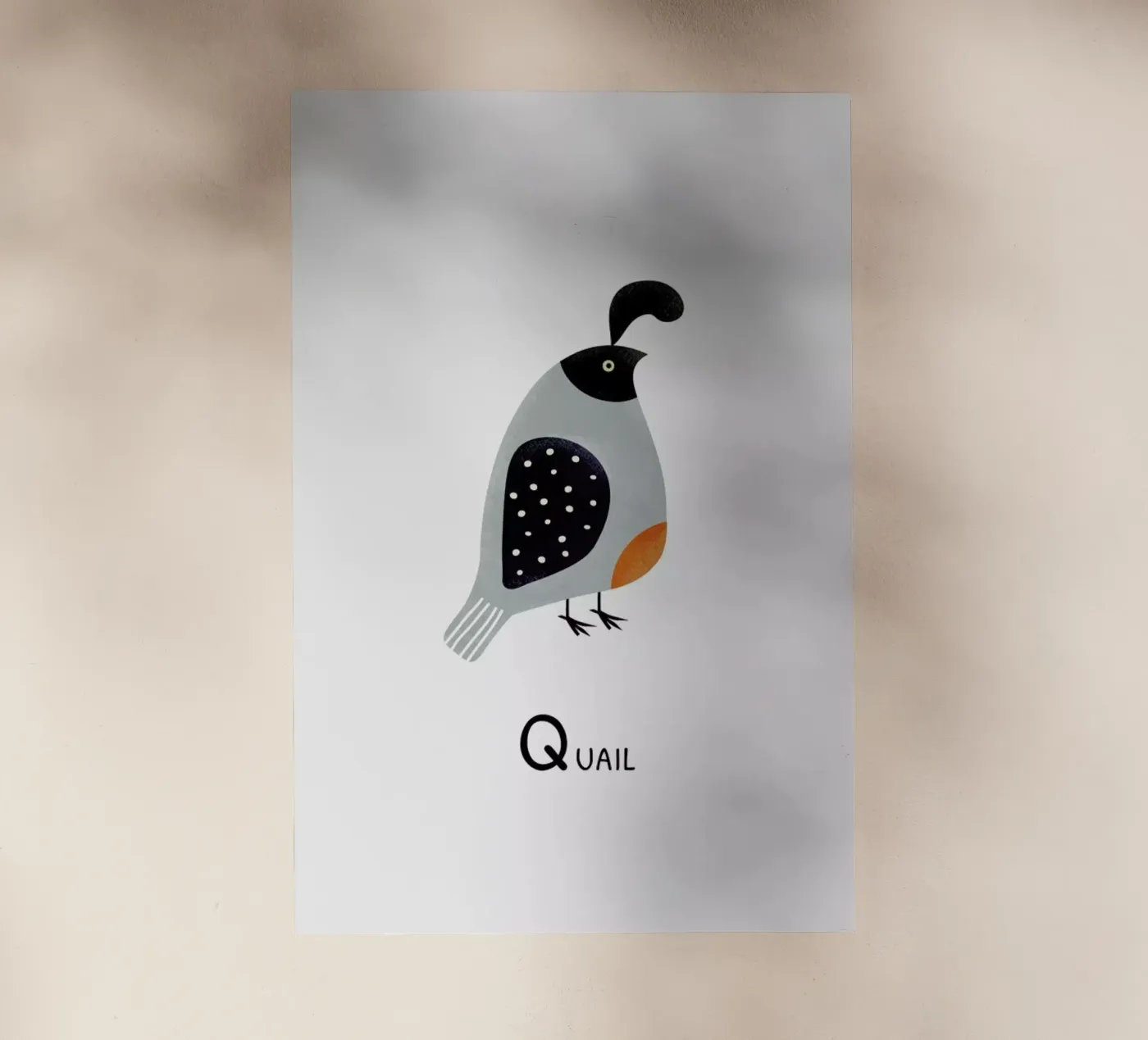 Quail pellicola backlit da Little Flourishes