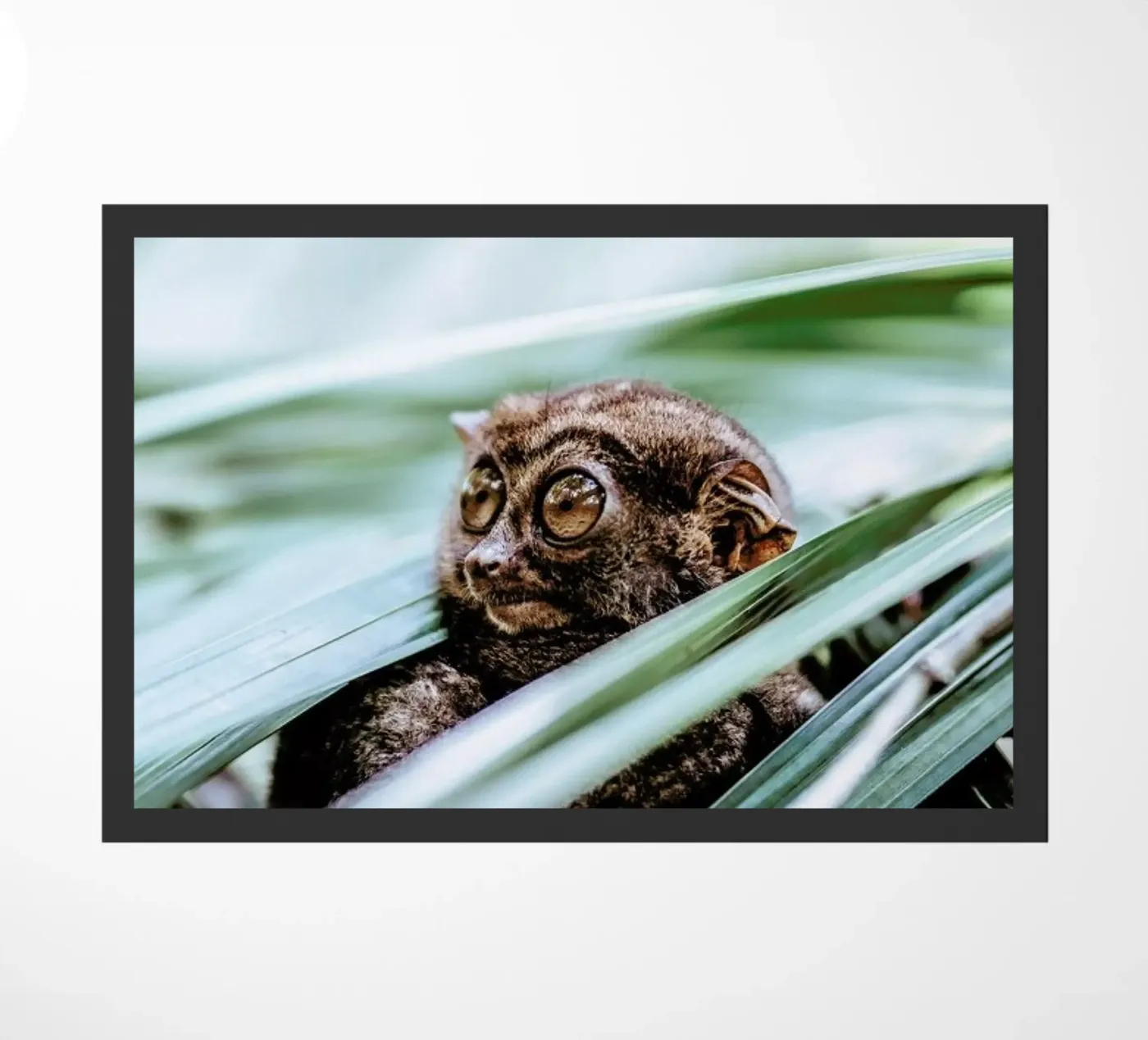 Tarsier deurmat van Natural Kingdom