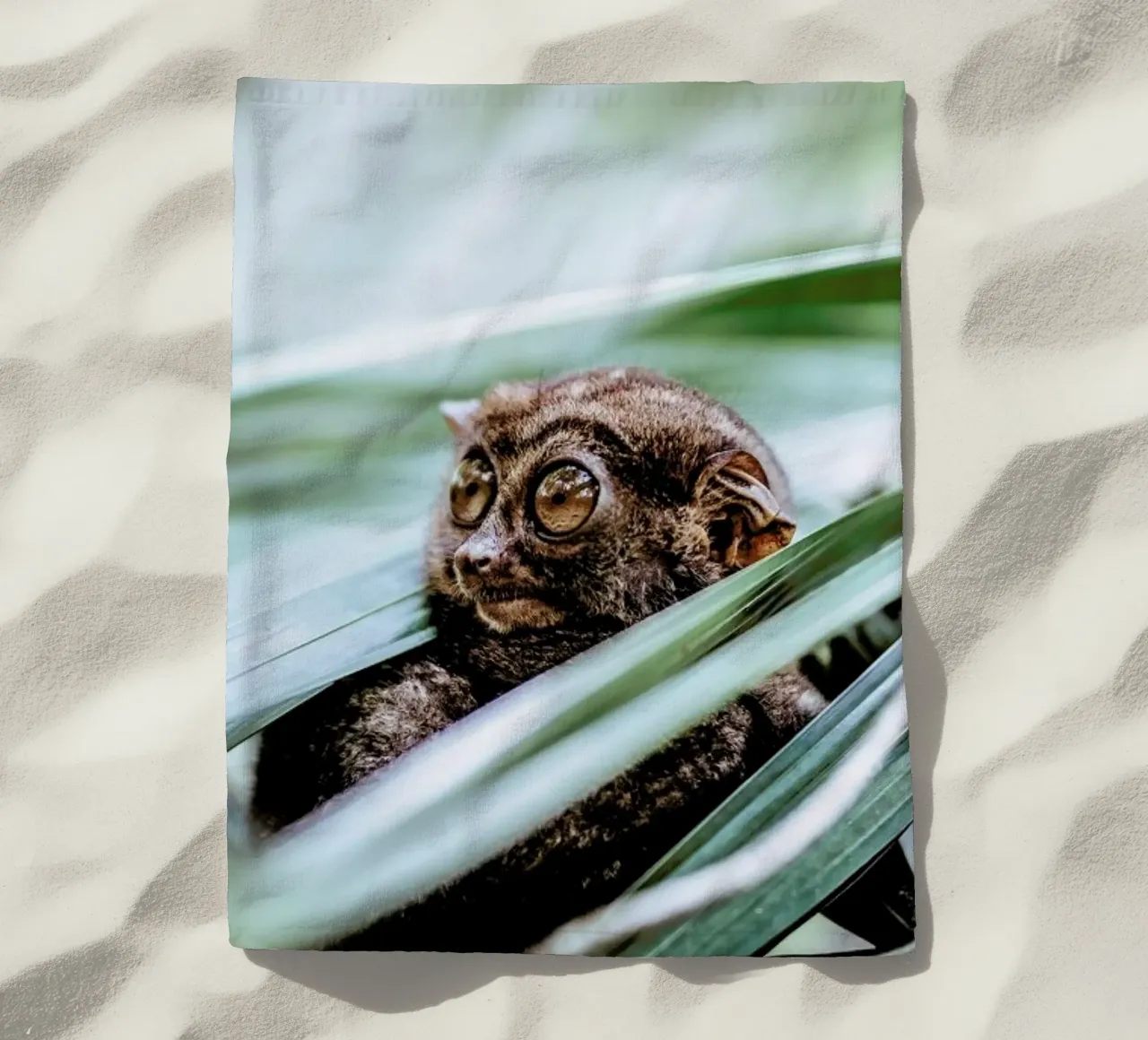 Tarsier telo mare da Natural Kingdom
