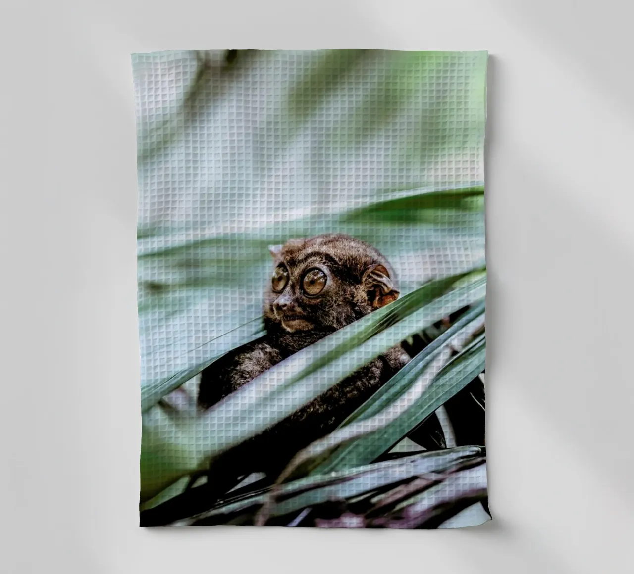 Tarsier canovaccio da cucina da Natural Kingdom