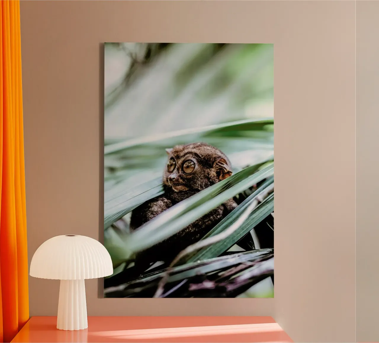 Tarsier tela con Cornice a cassetta da Natural Kingdom