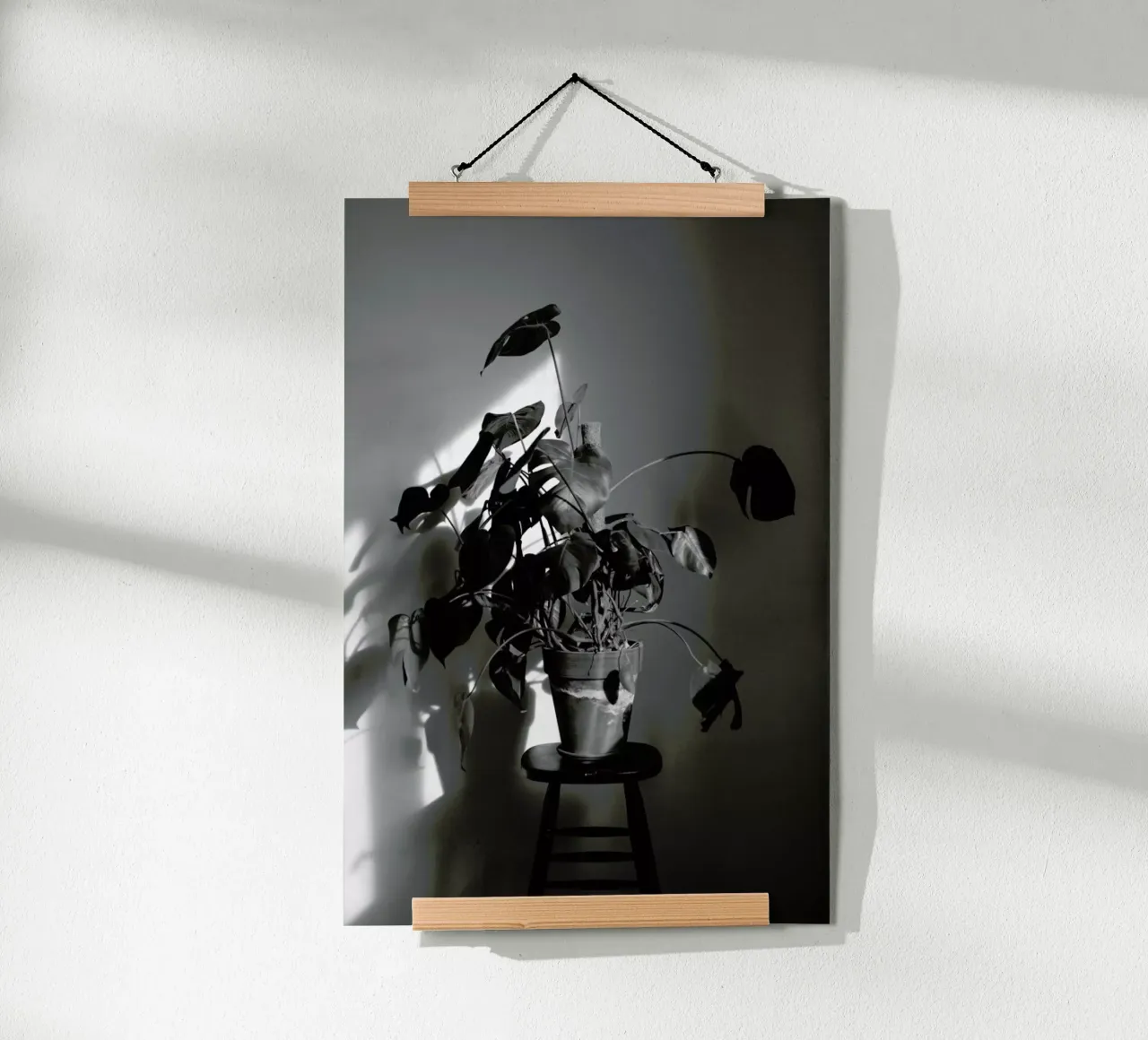 Monstera Deliciosa poster con telaio in alluminio da Sebastian Hilgetag