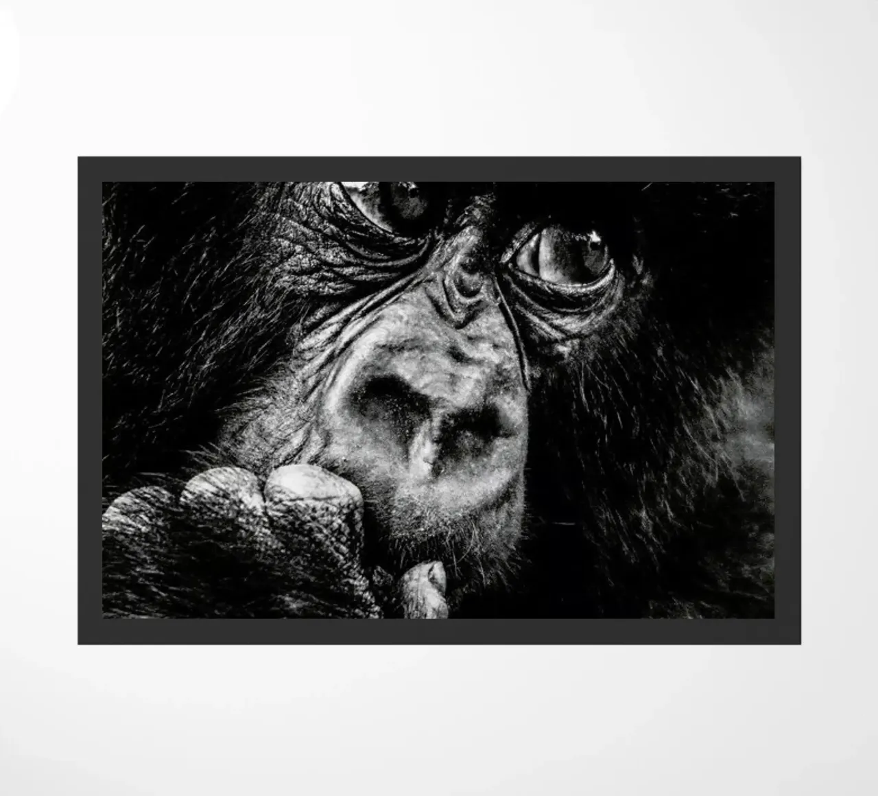 Gorilla zerbino da Natural Kingdom